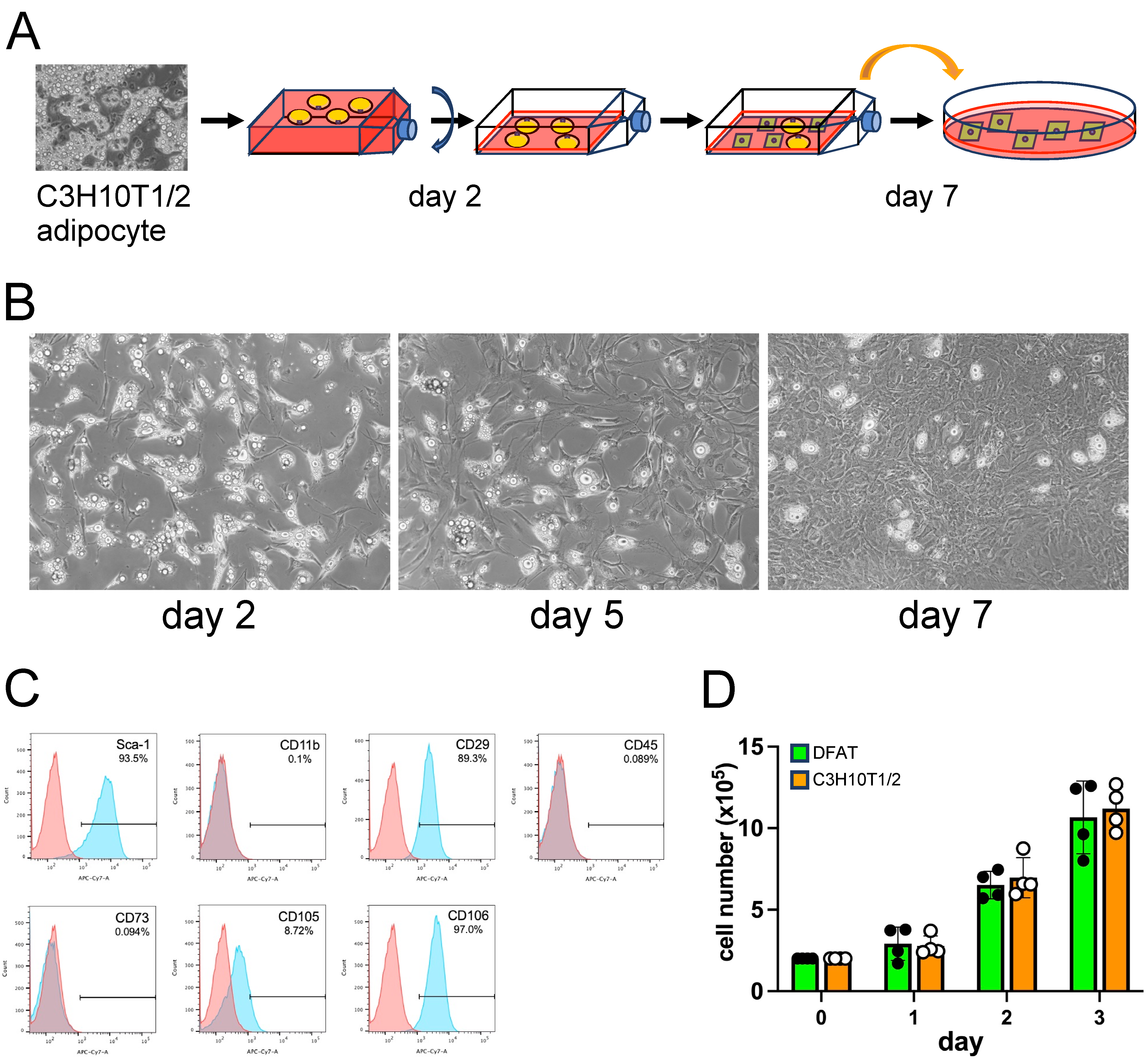 Biology 14 00444 g001