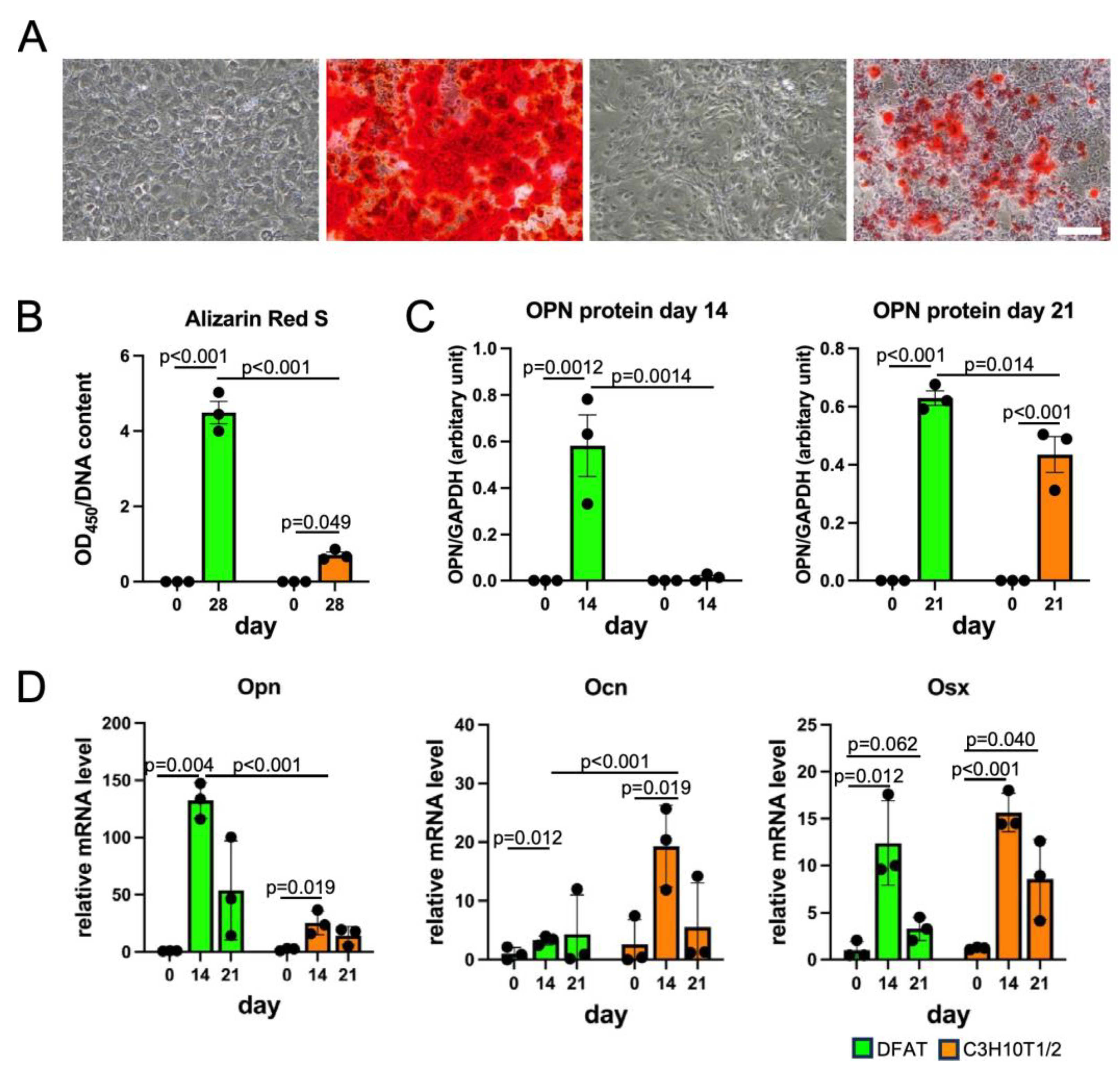 Biology 14 00444 g004