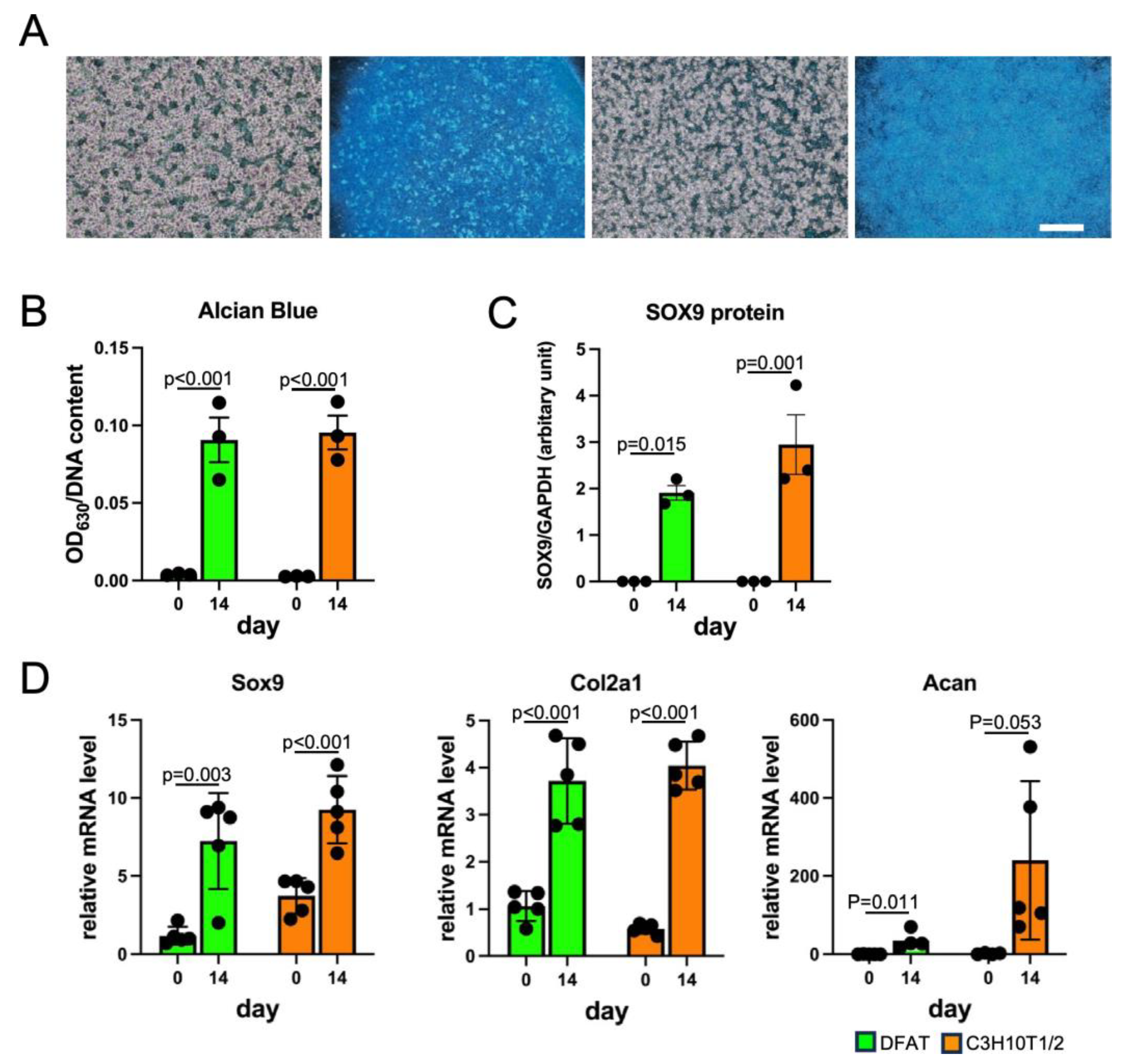Biology 14 00444 g005