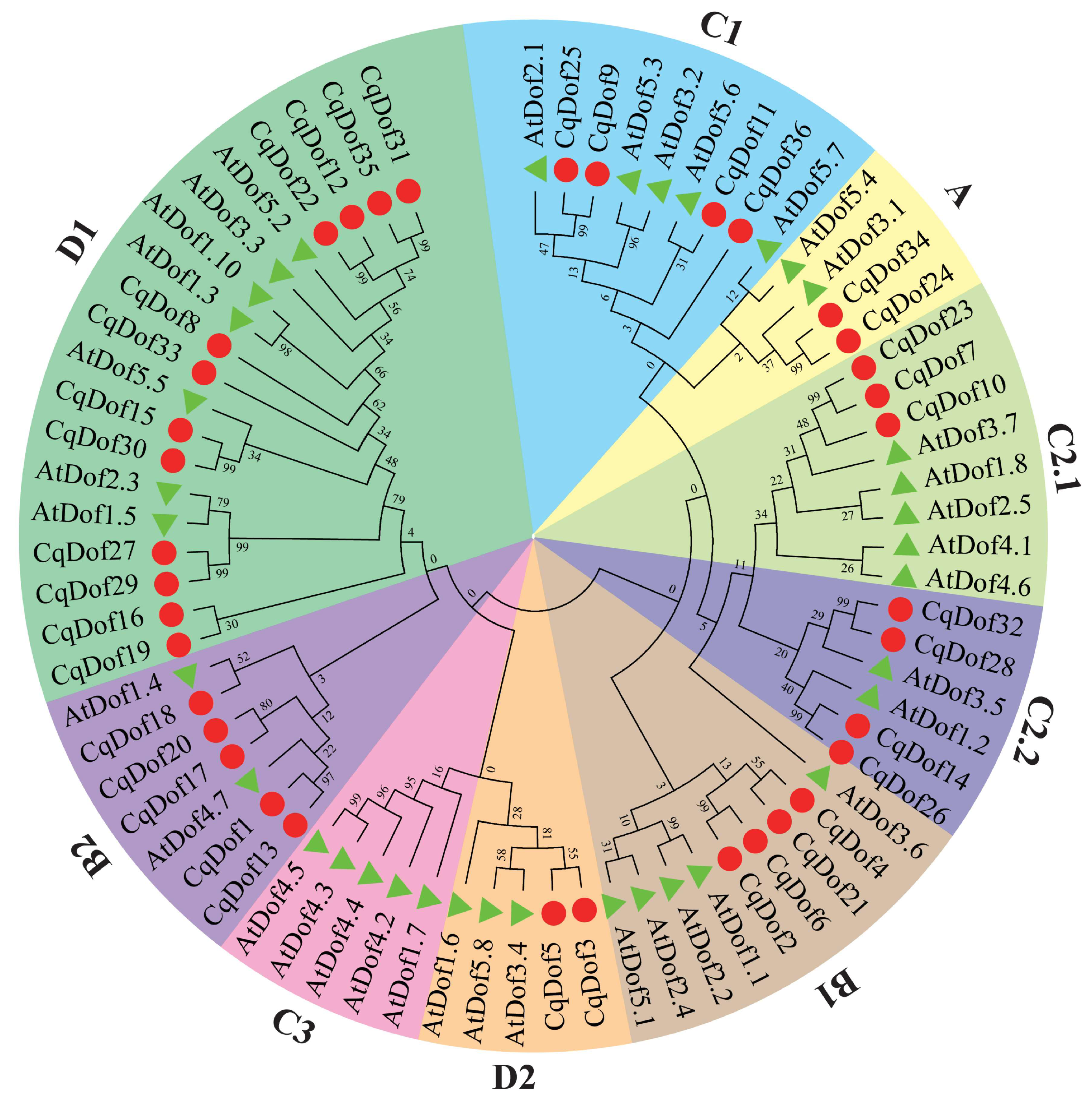Biology 14 00446 g002