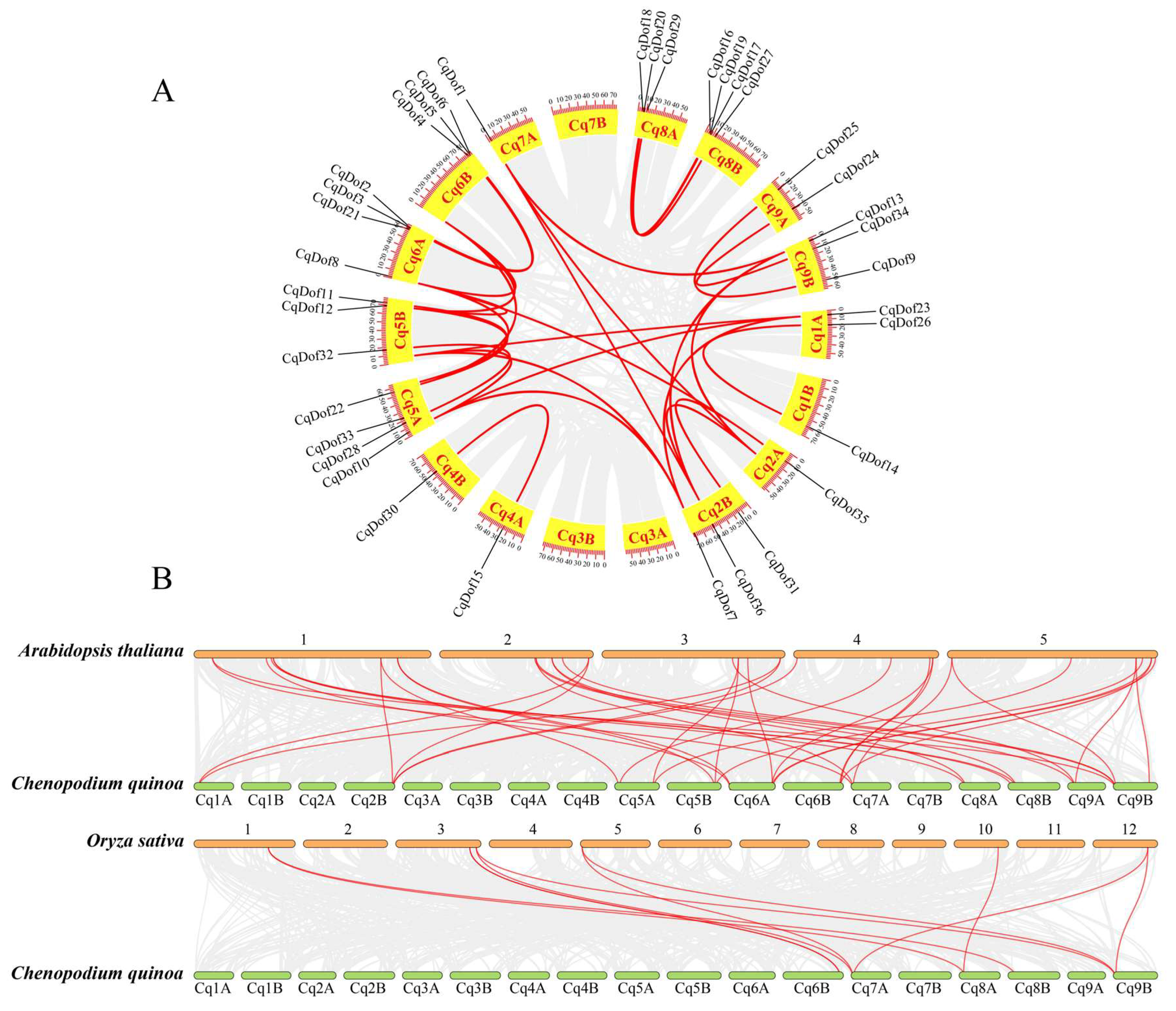 Biology 14 00446 g003
