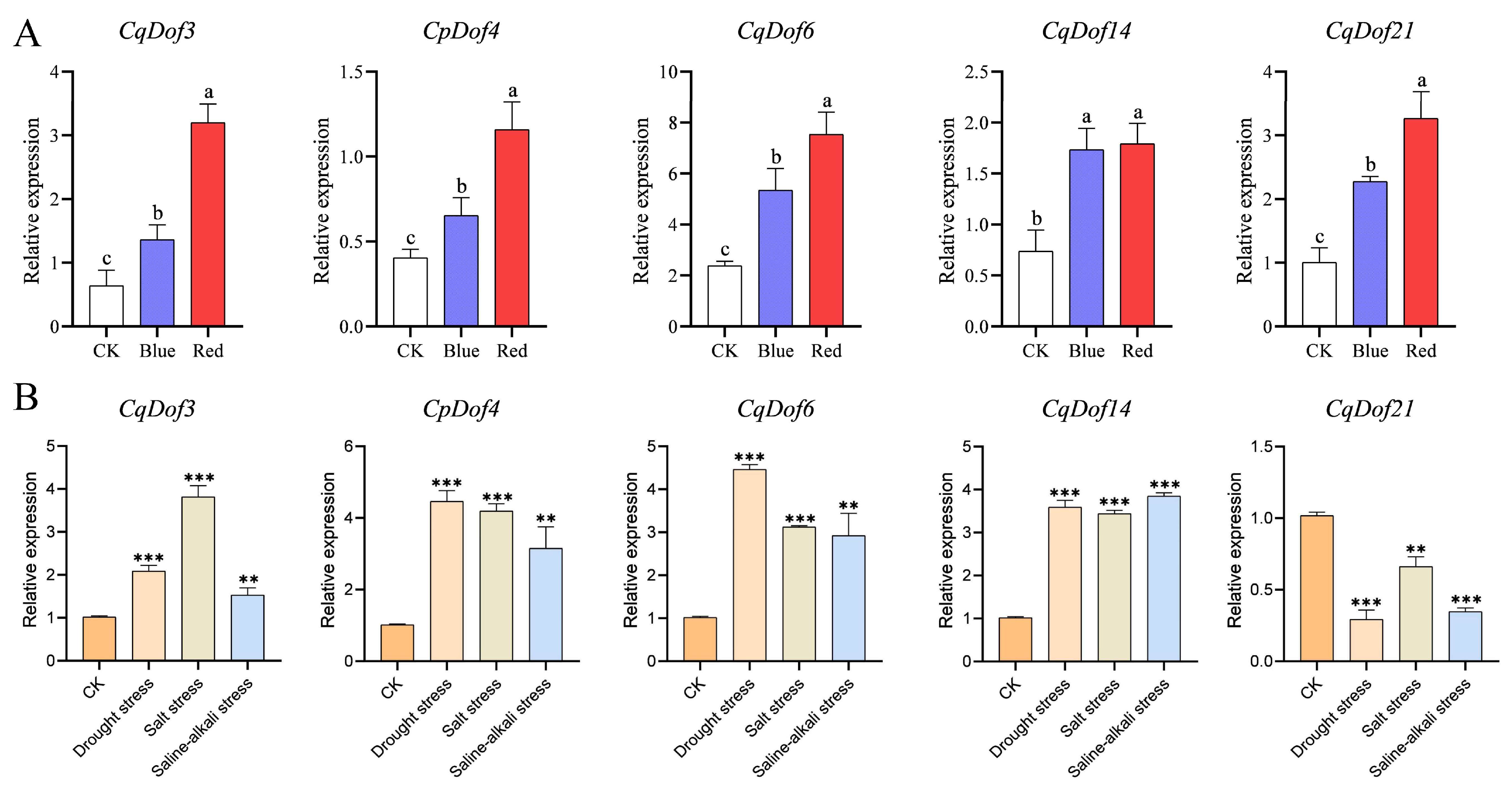 Biology 14 00446 g007