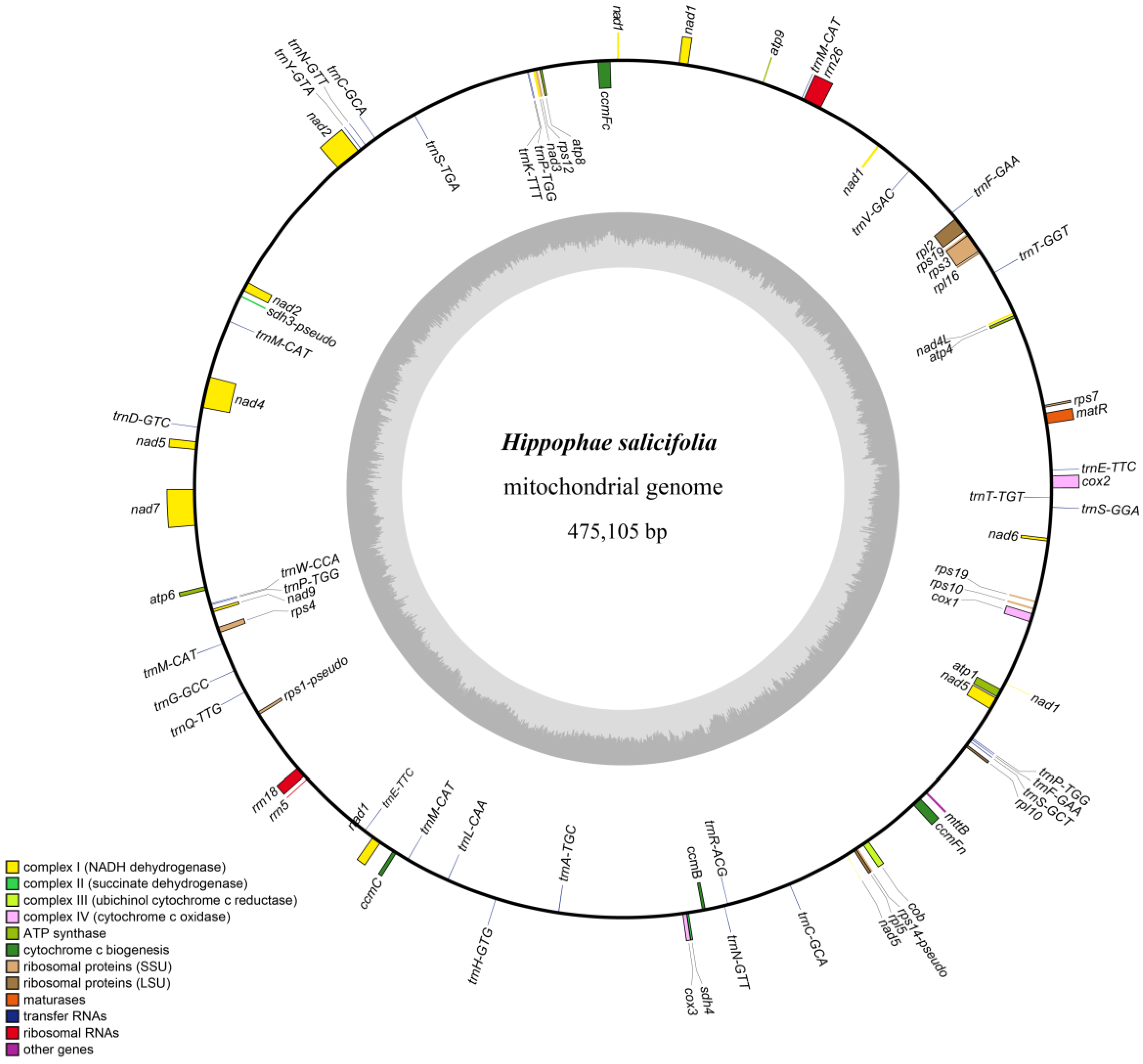 Biology 14 00448 g001