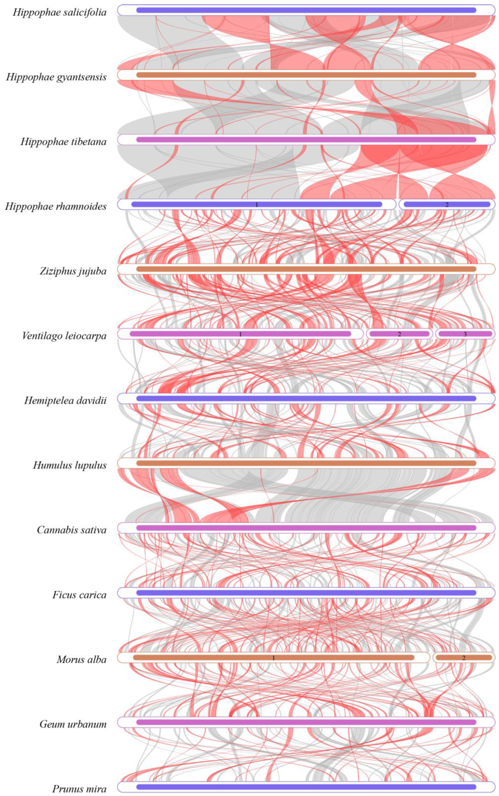 Biology 14 00448 g009