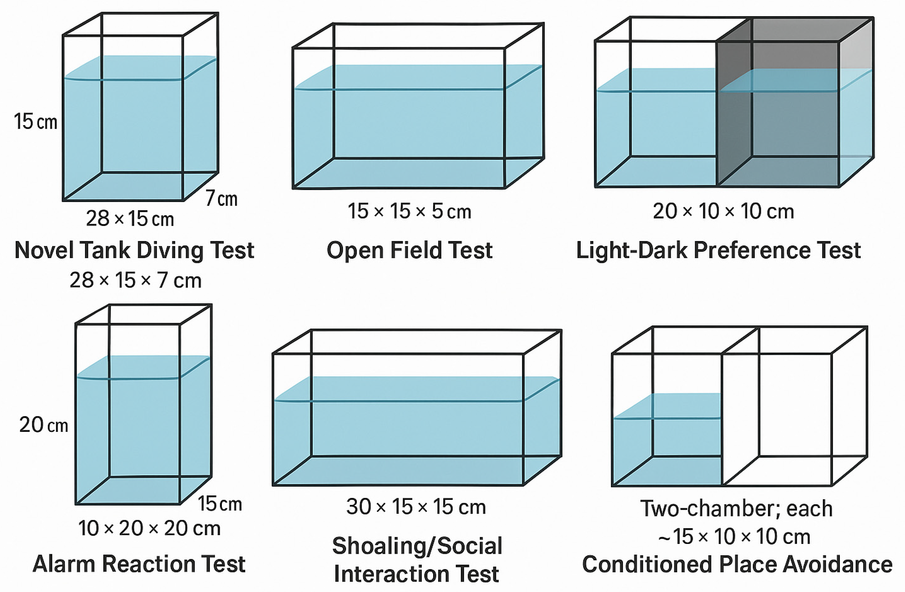 Biology 14 00456 g002