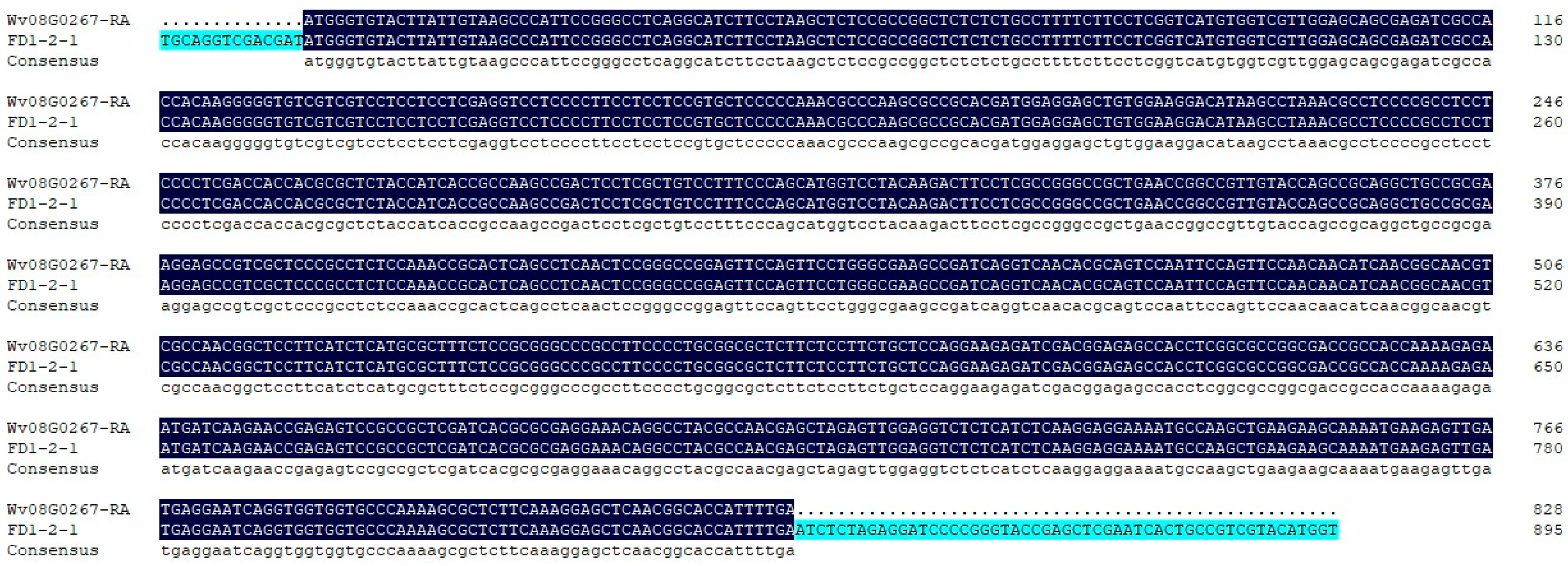Biology 14 00457 g002