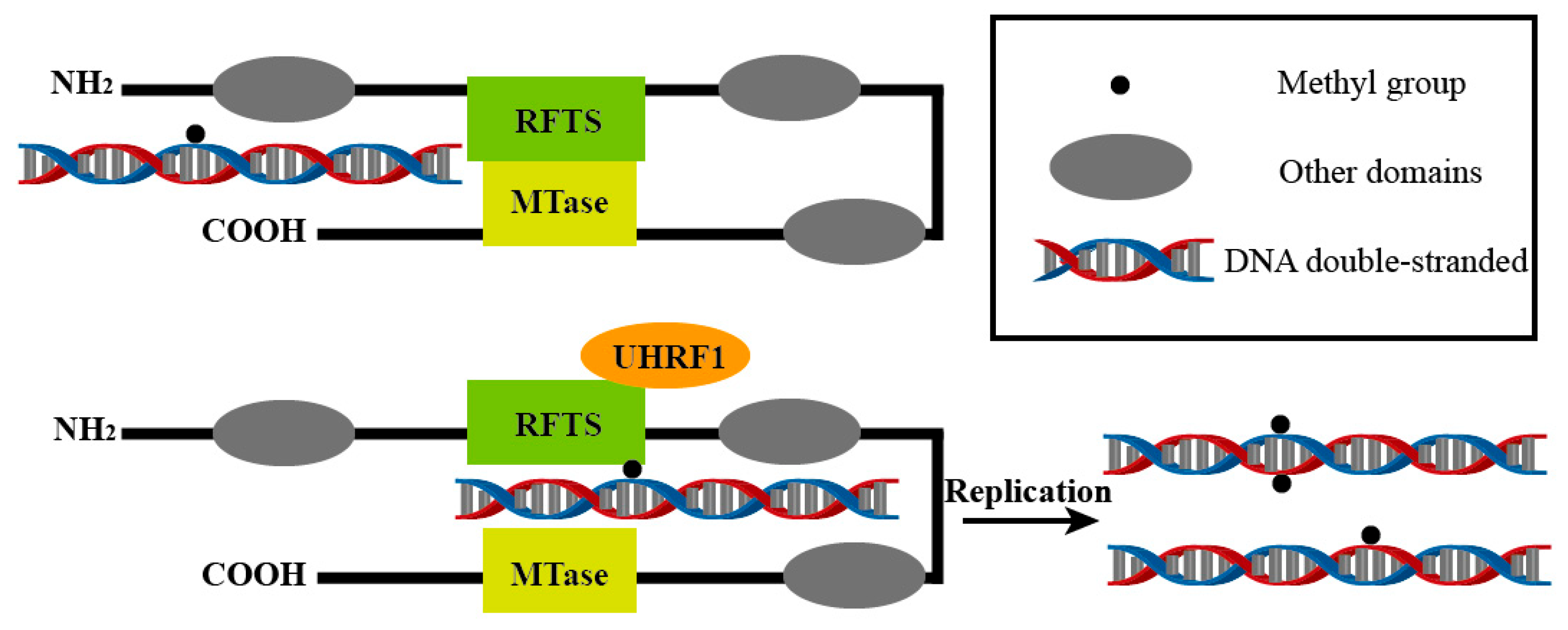 Biology 14 00461 g002