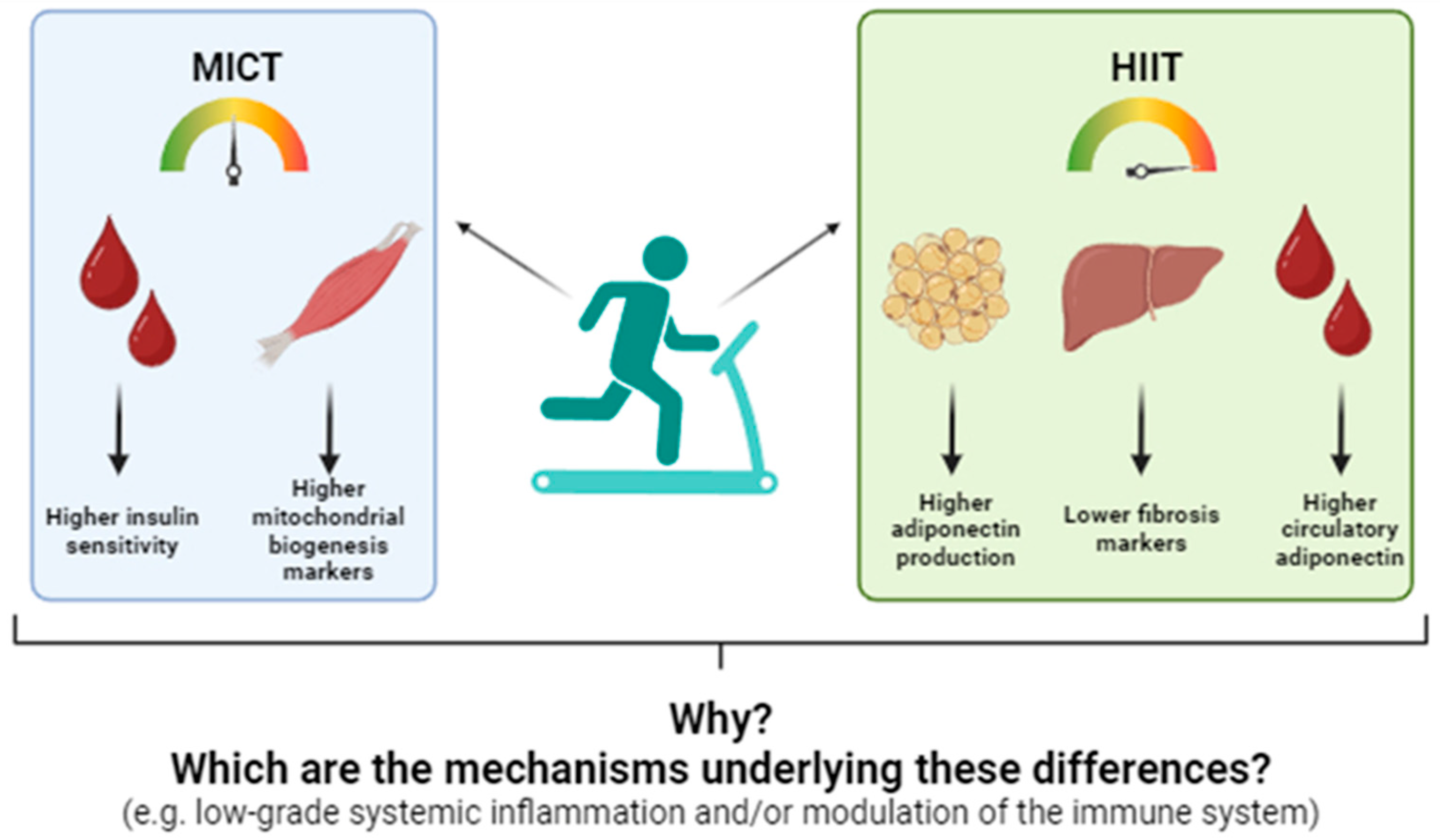 Biology 14 00463 g001