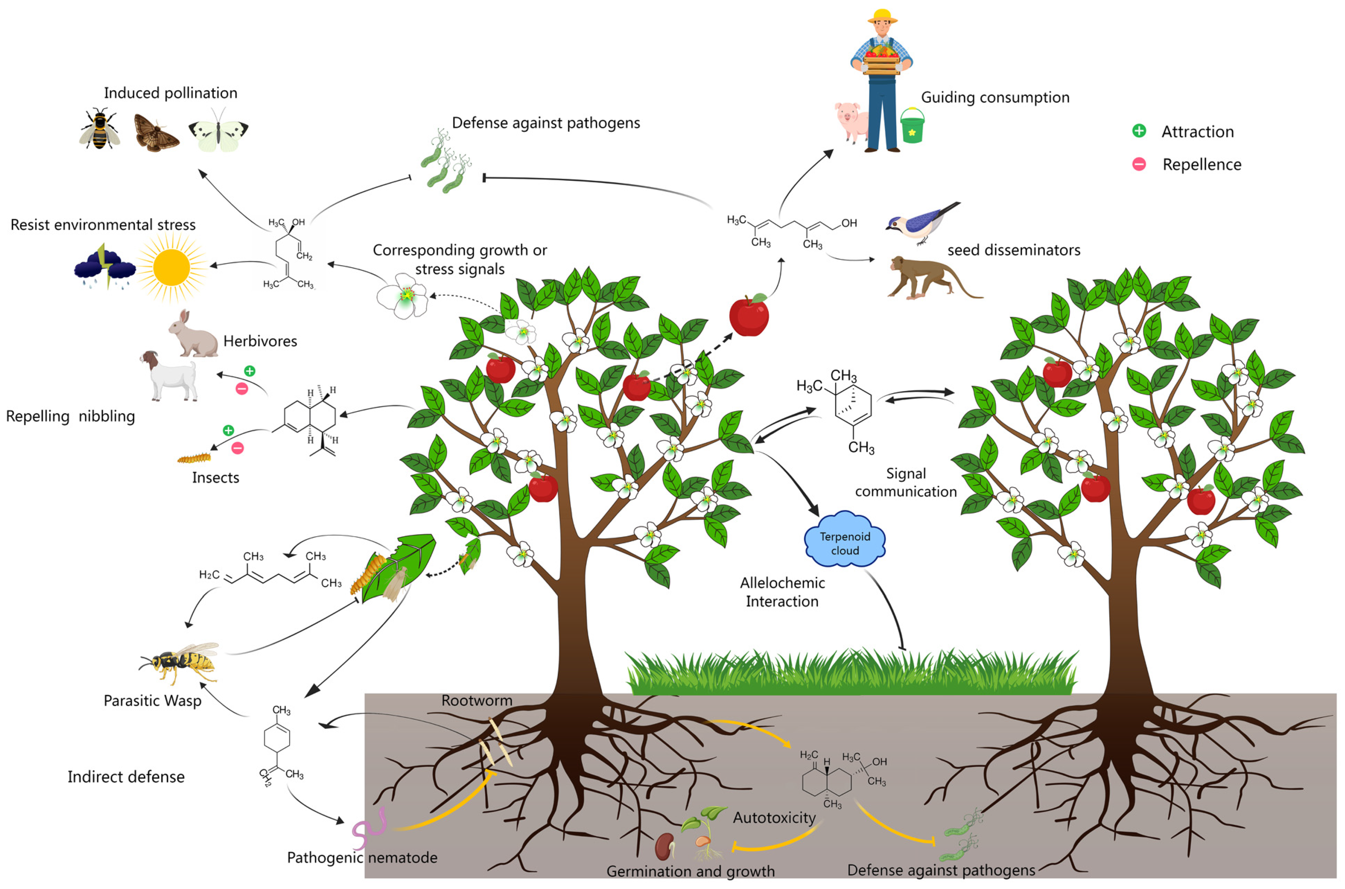 A Comprehensive Review of Plant Volatile Terpenoids