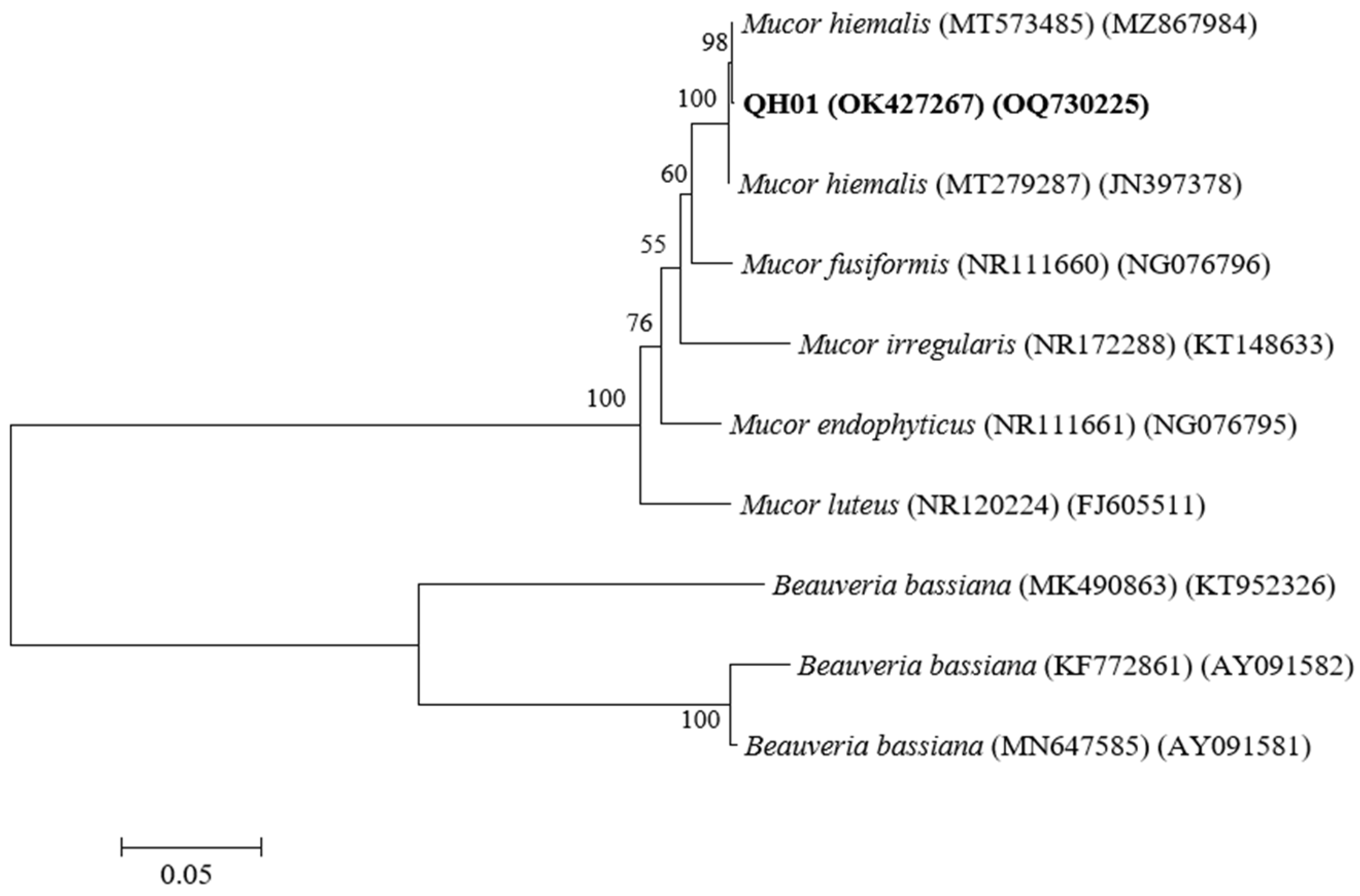 Biology 14 00467 g002