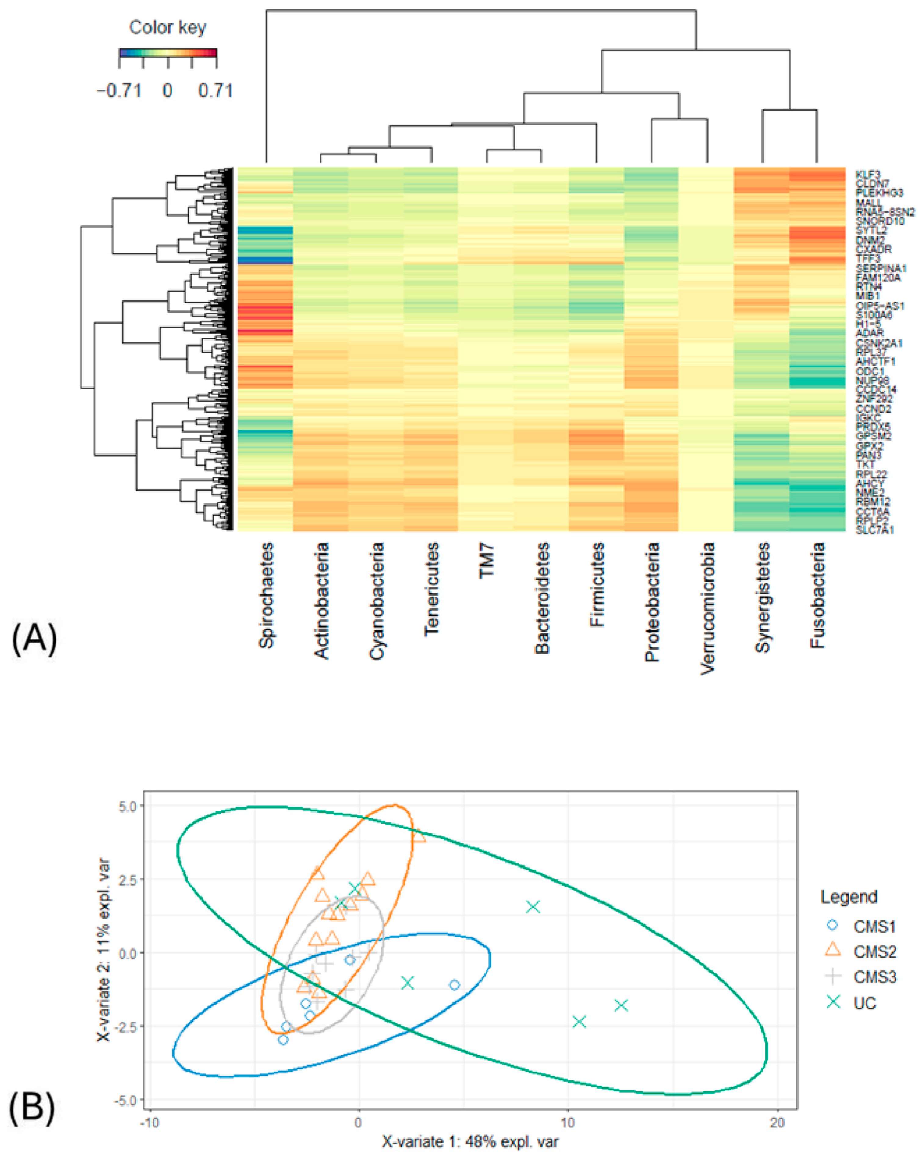 Biology 14 00468 g004