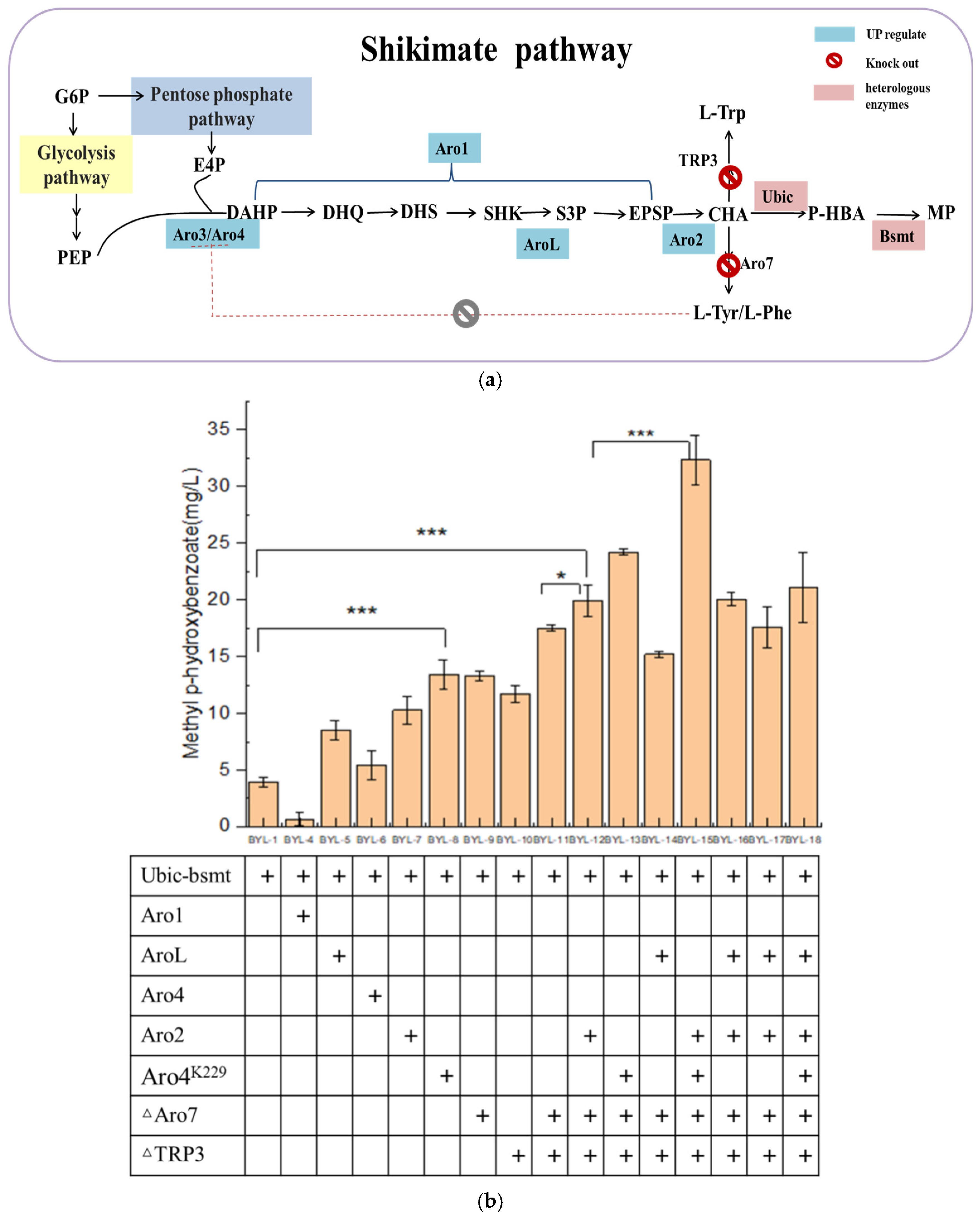 Biology 14 00469 g003