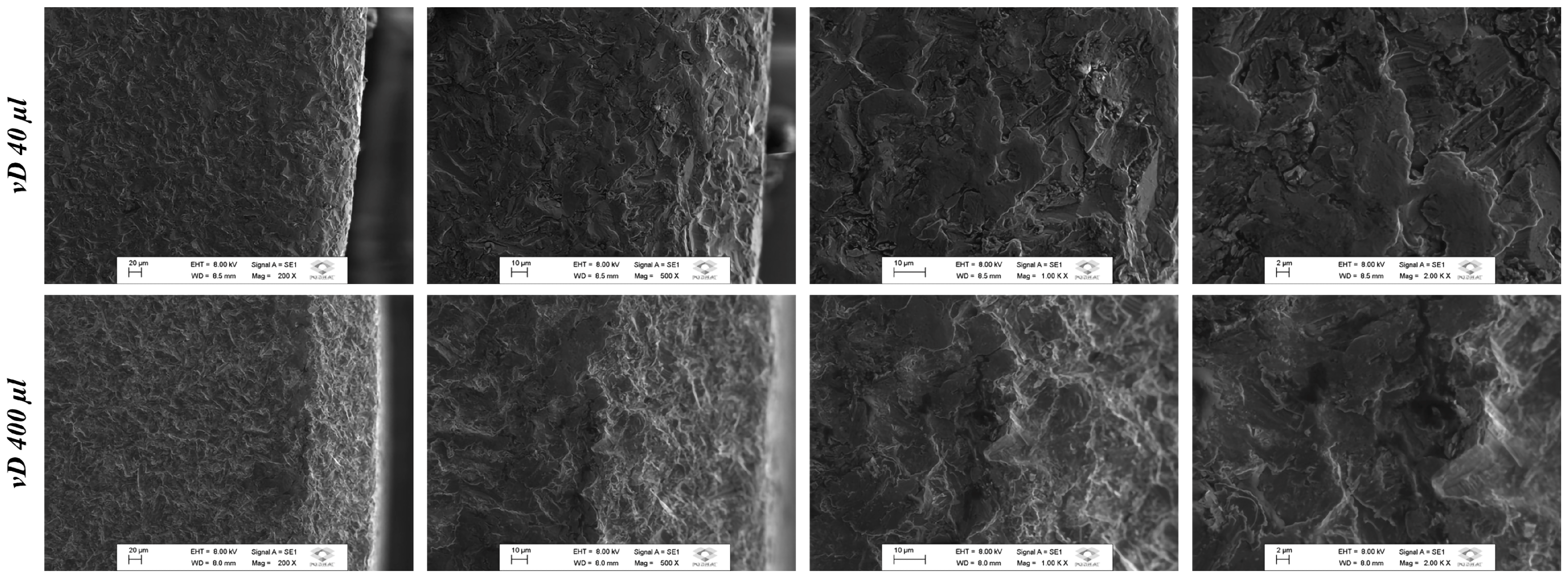Biology 14 00476 g002