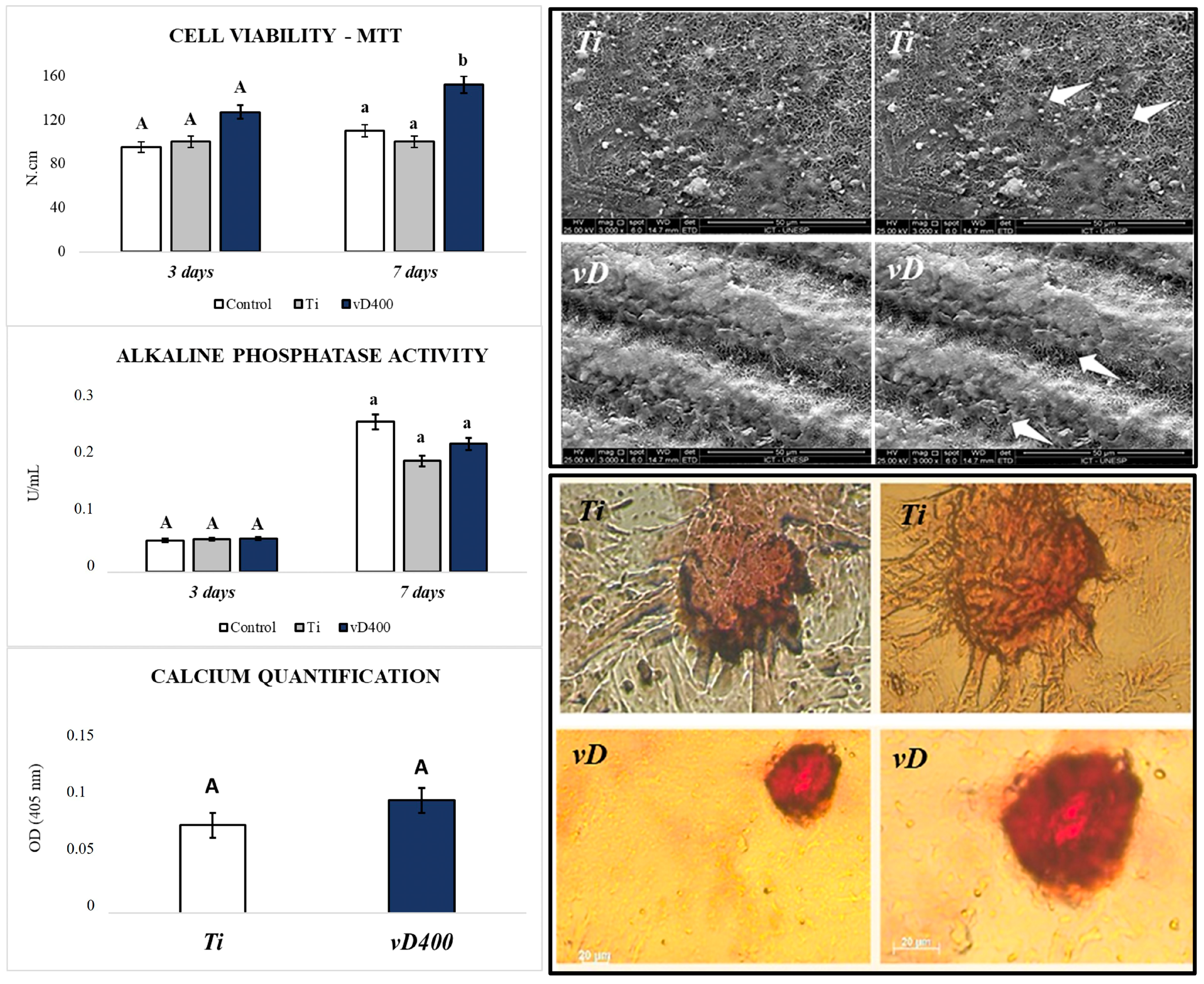 Biology 14 00476 g004