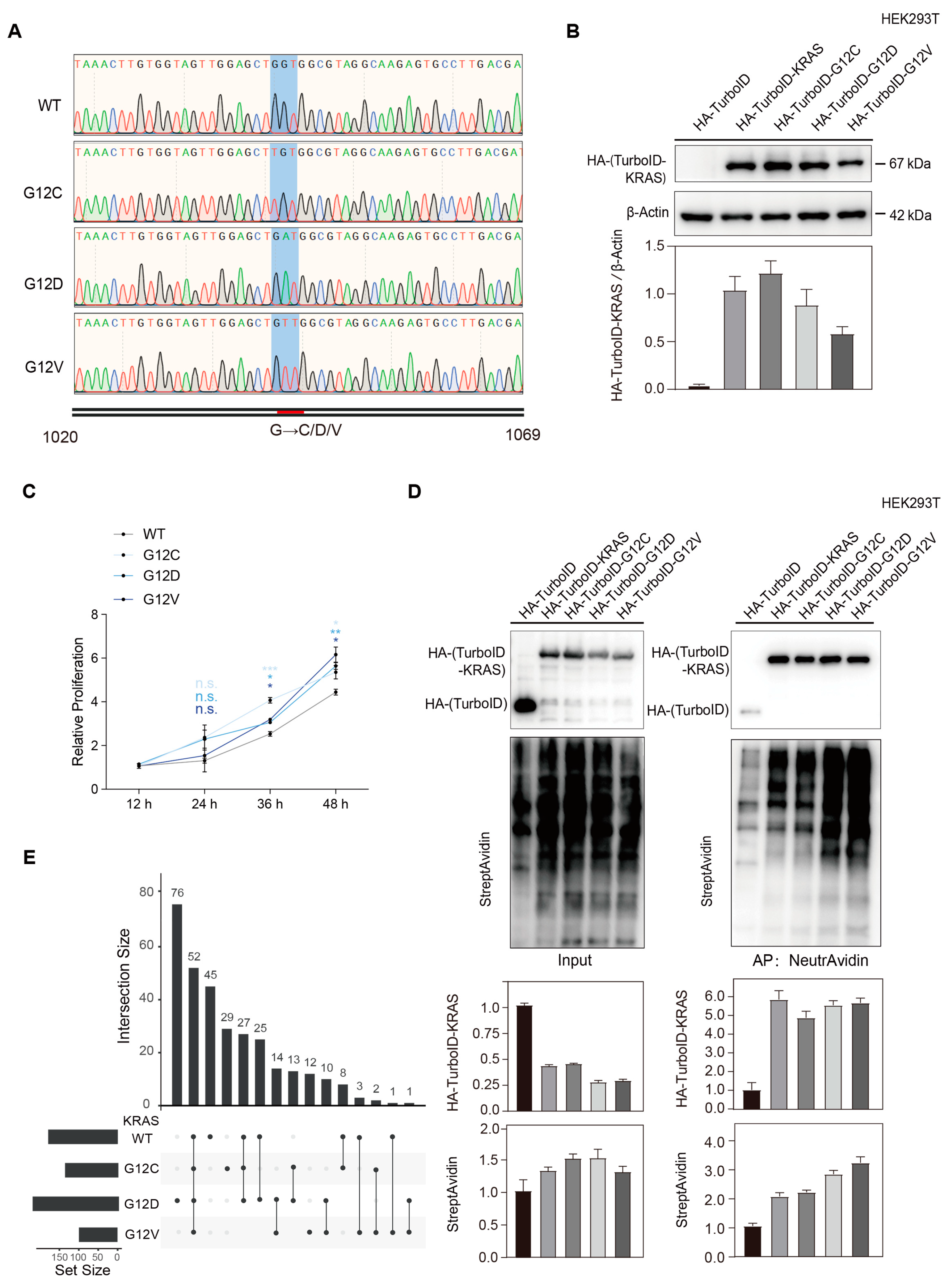 Biology 14 00477 g002