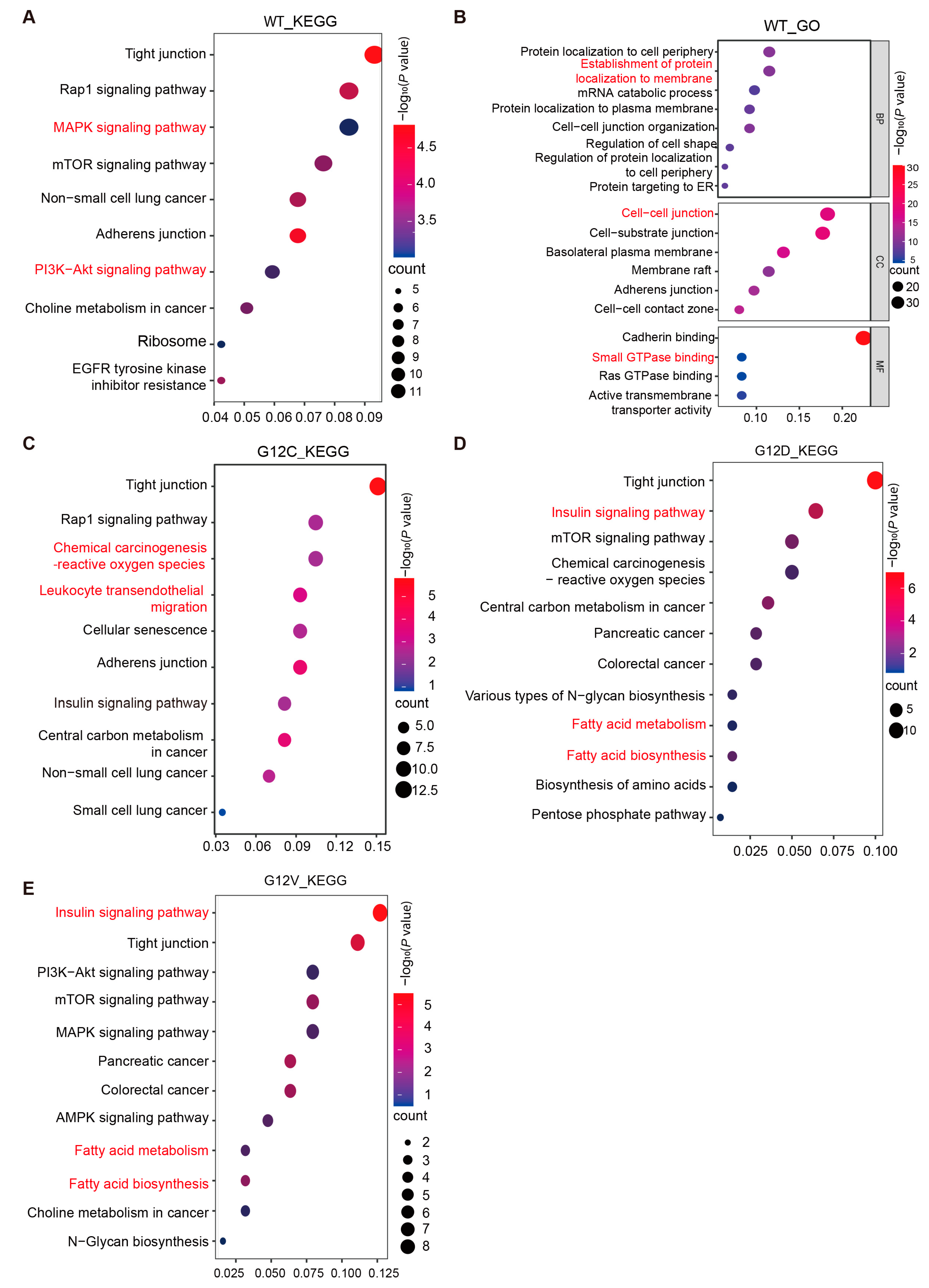 Biology 14 00477 g003