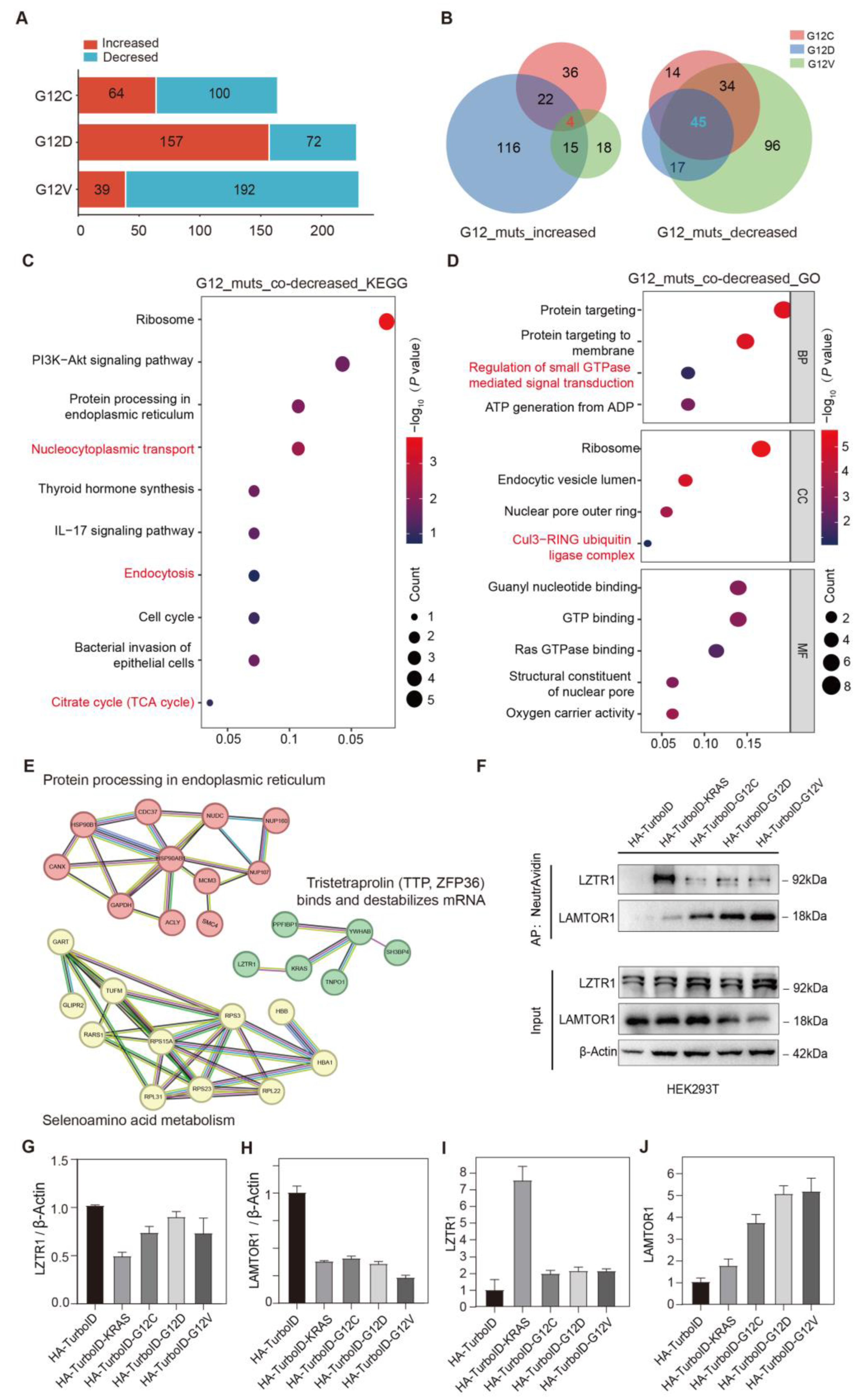 Biology 14 00477 g004