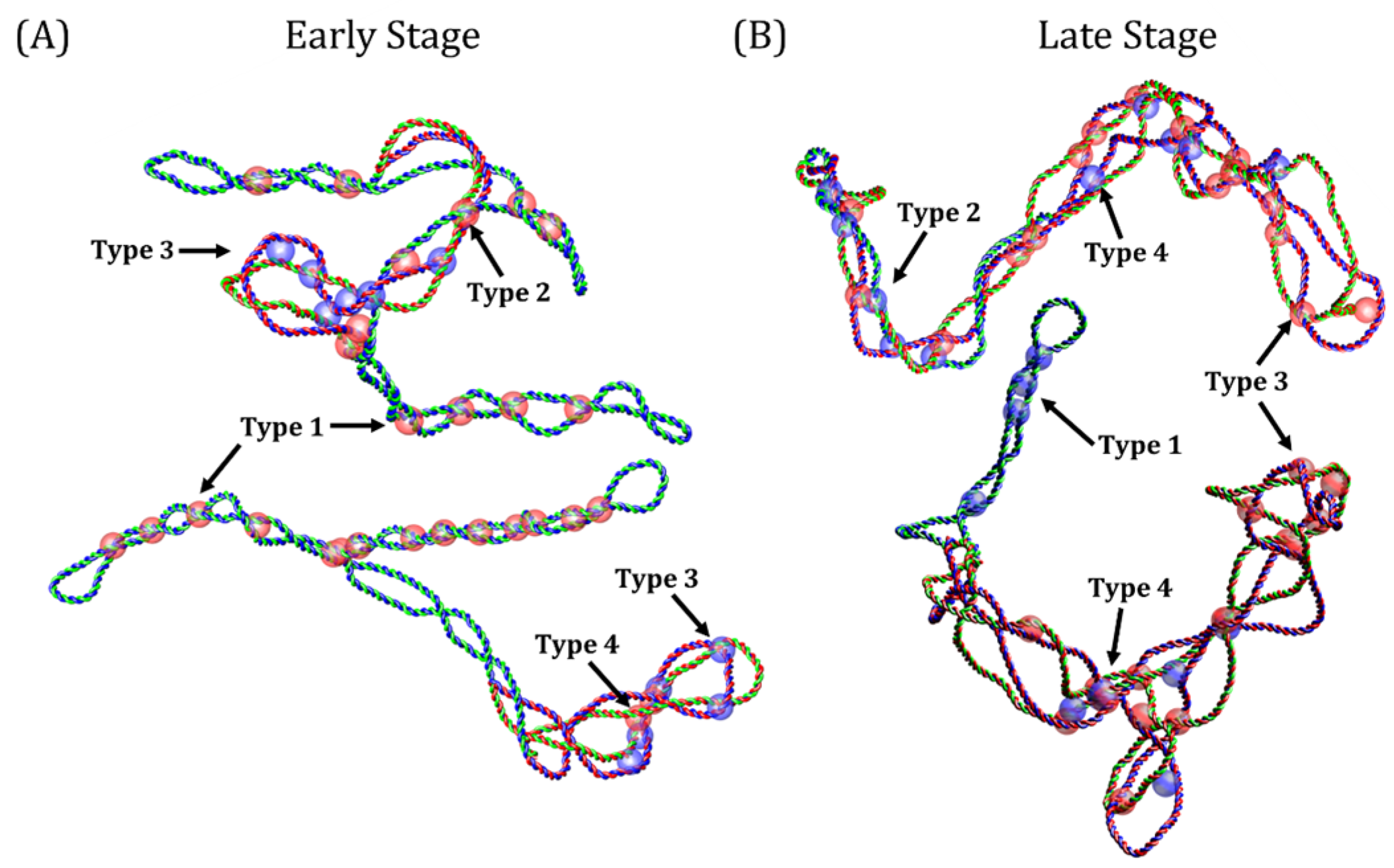 Biology 14 00478 g004 Biology 14 00478 g004