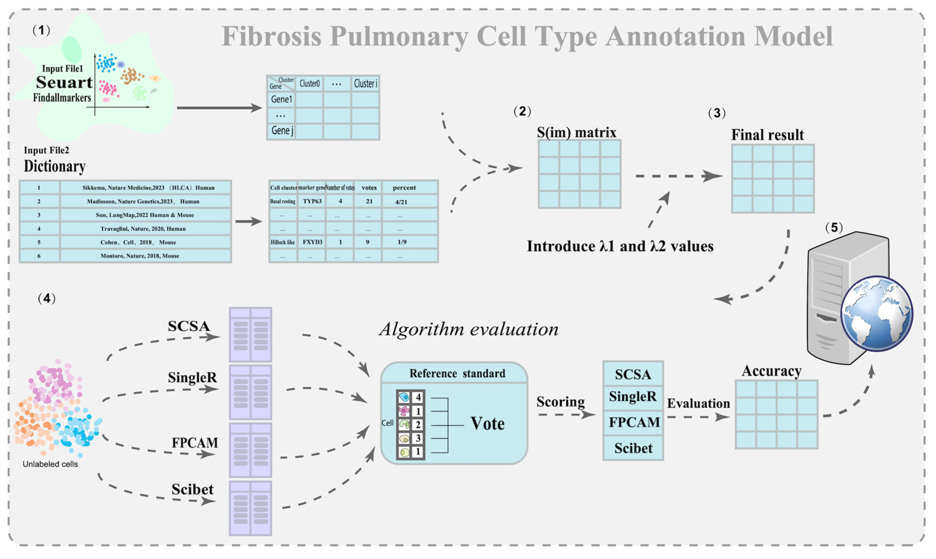 Biology 14 00479 g002