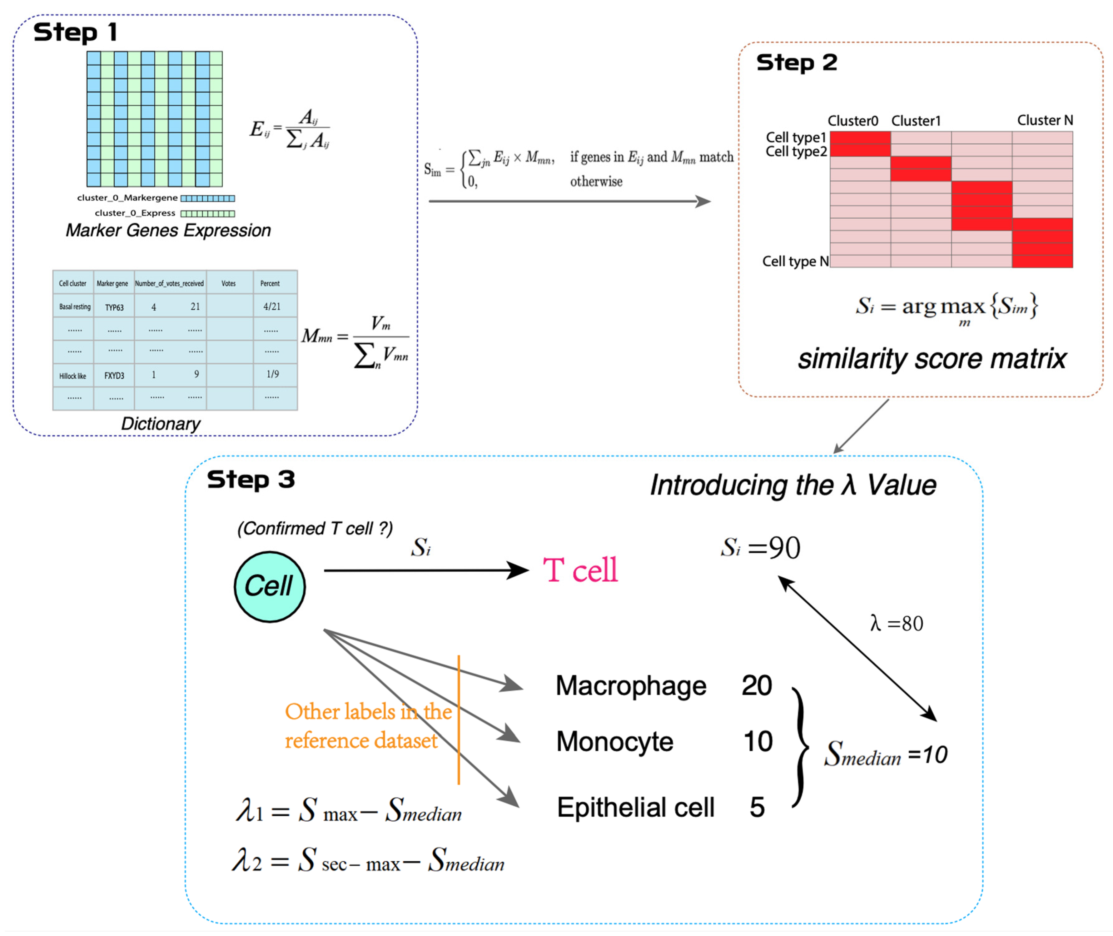 Biology 14 00479 g003