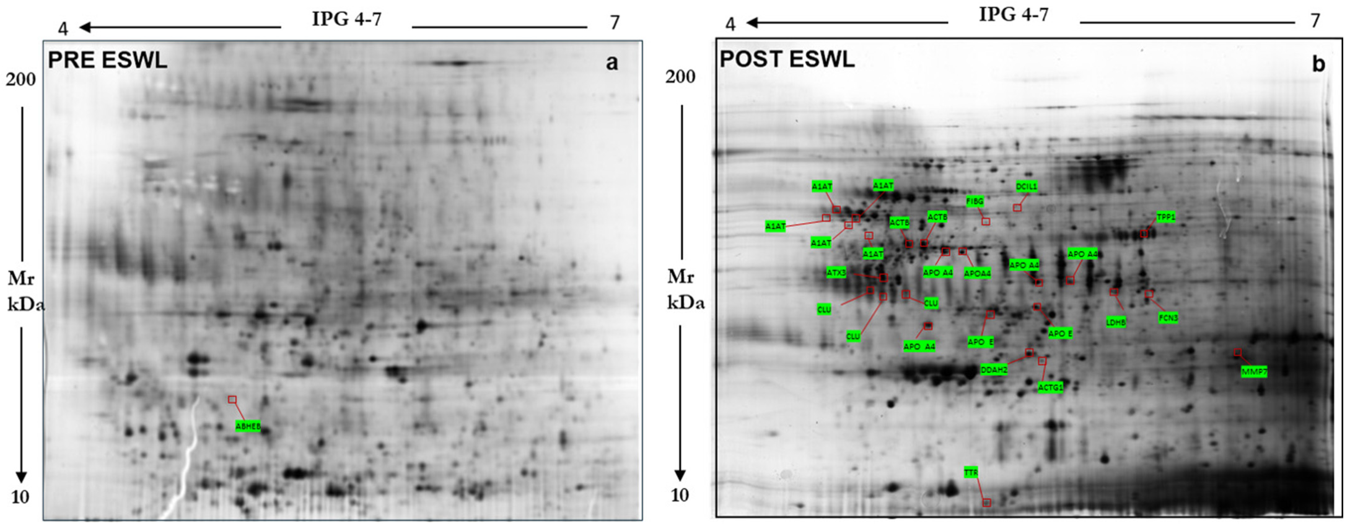 Biology 14 00482 g001 Biology 14 00482 g001