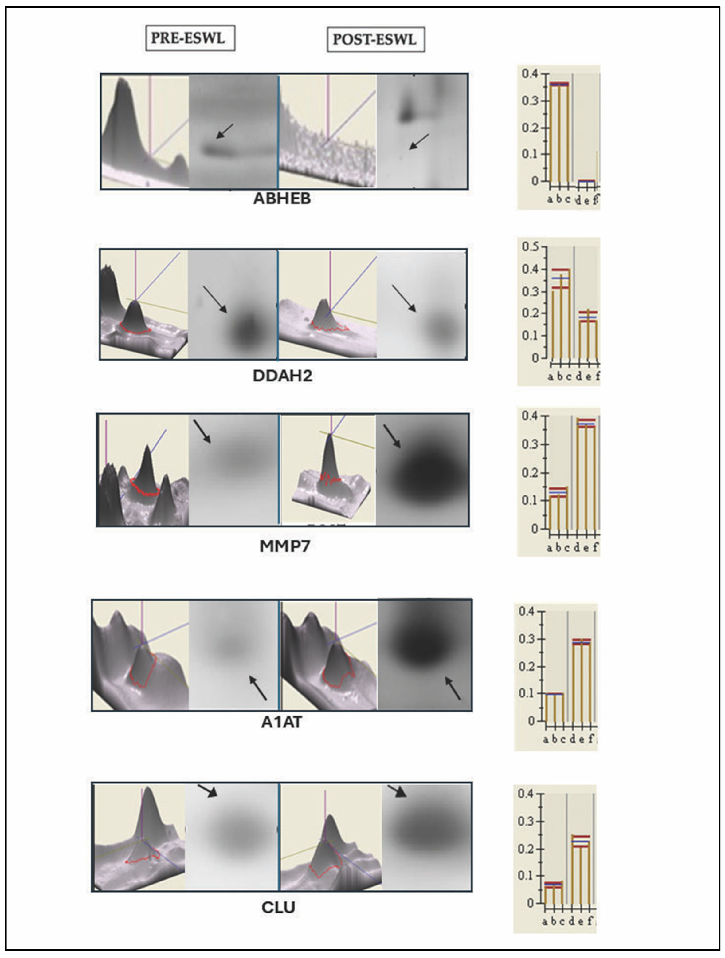 Biology 14 00482 g002 Biology 14 00482 g002