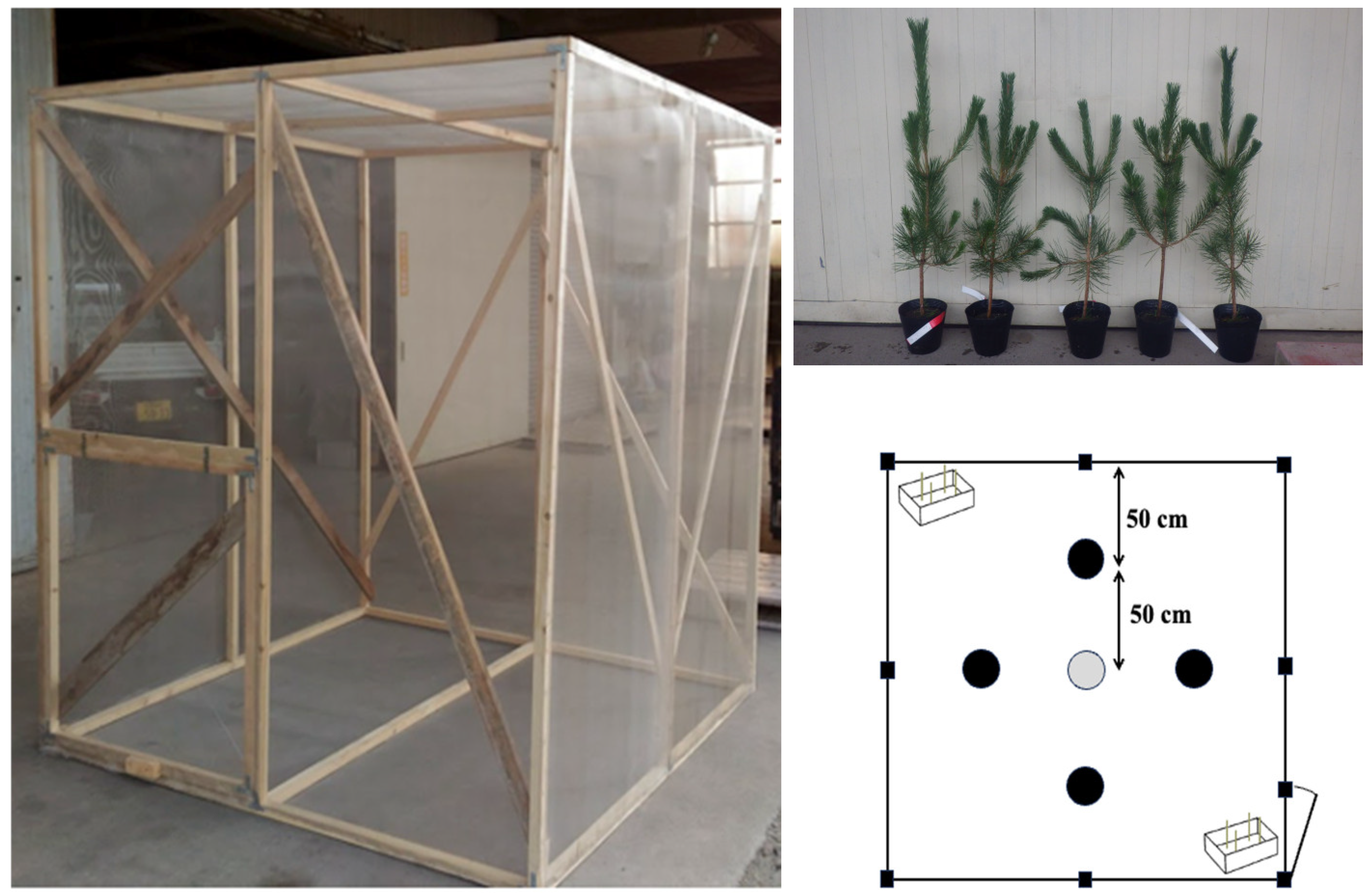 Biology 14 00485 g002