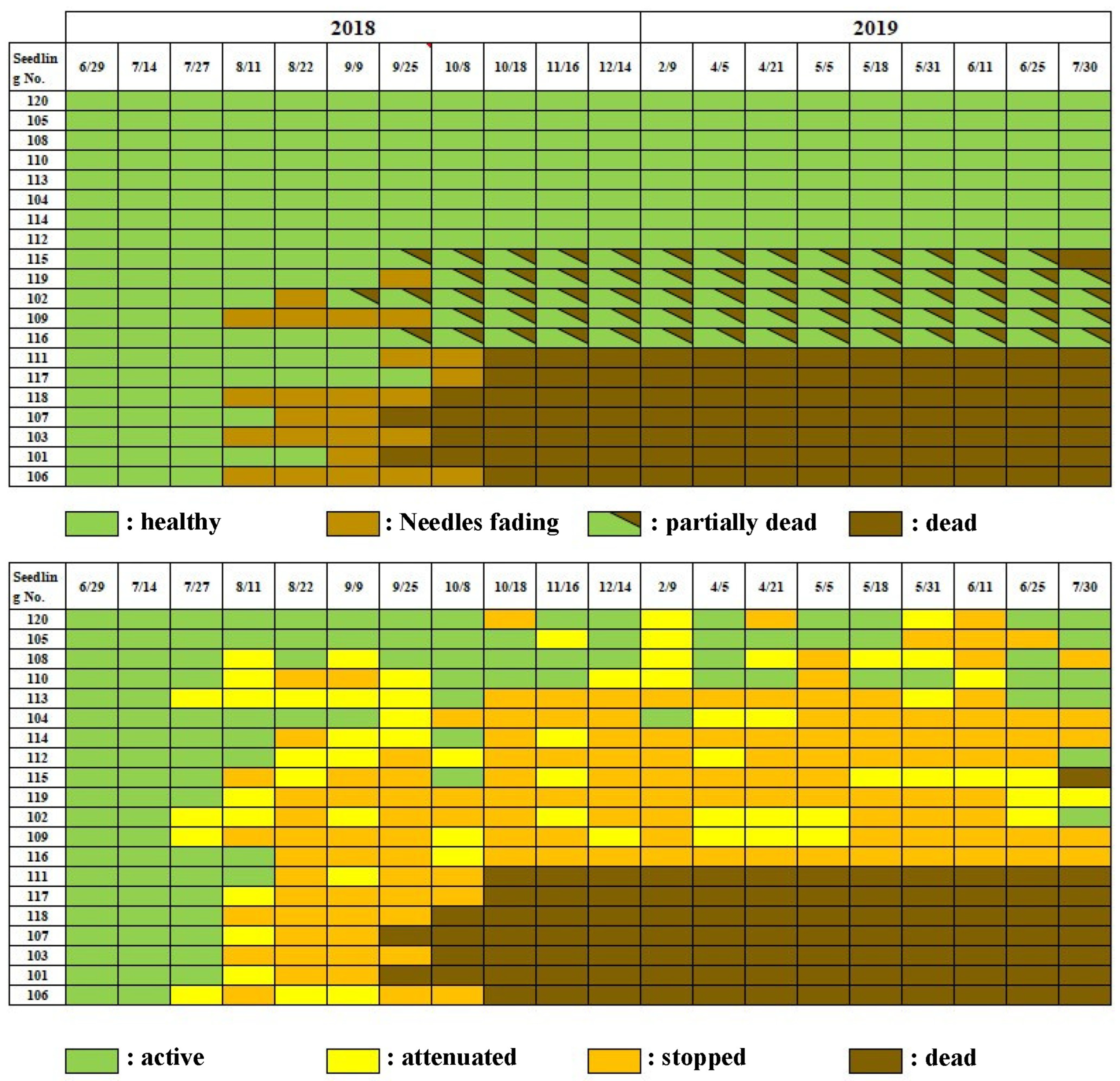 Biology 14 00485 g004