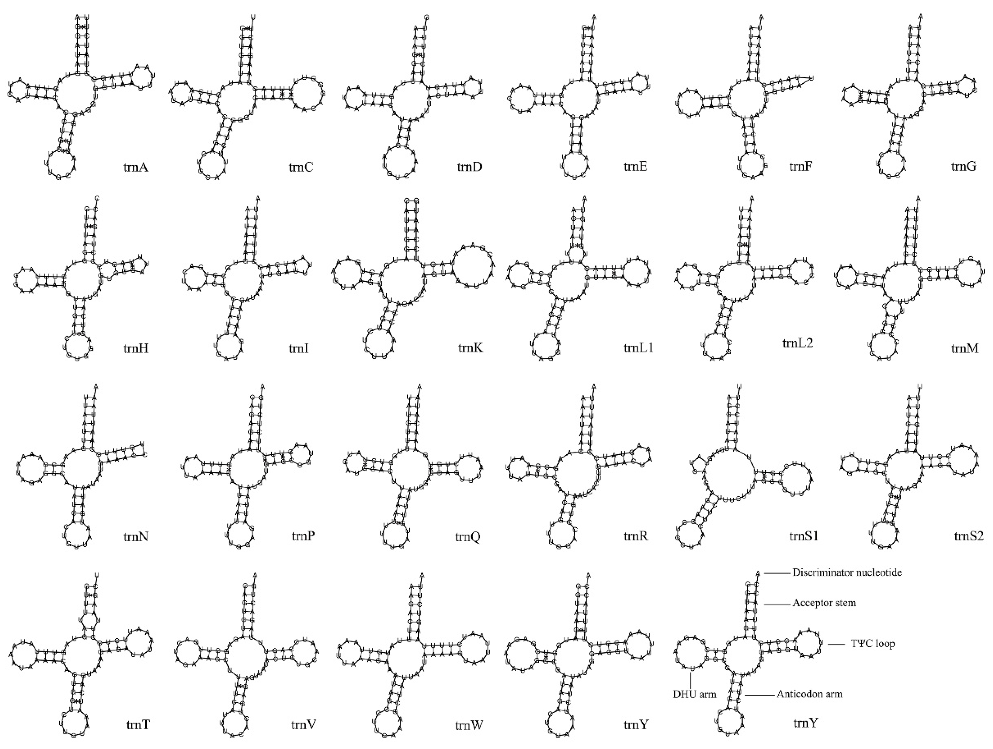 Biology 14 00493 g003