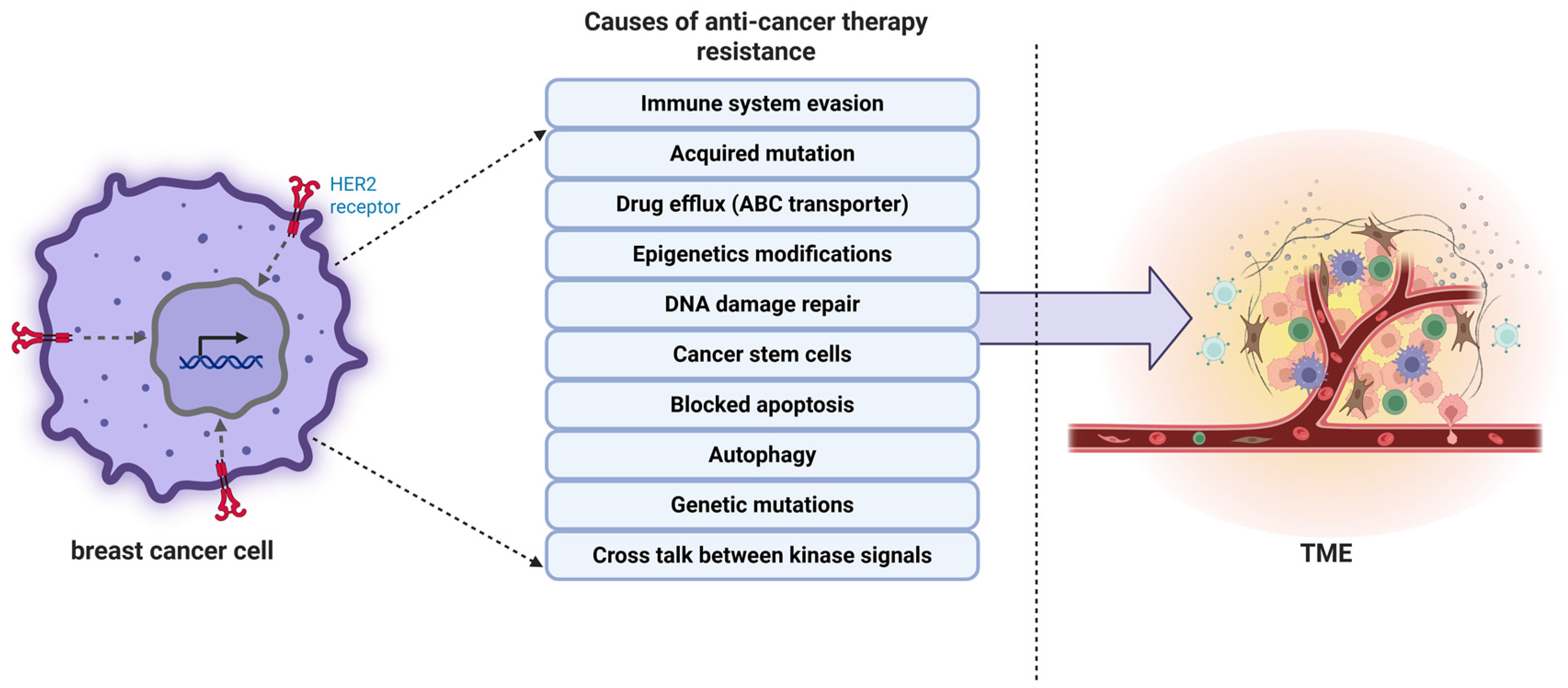 Biology 14 00497 g001