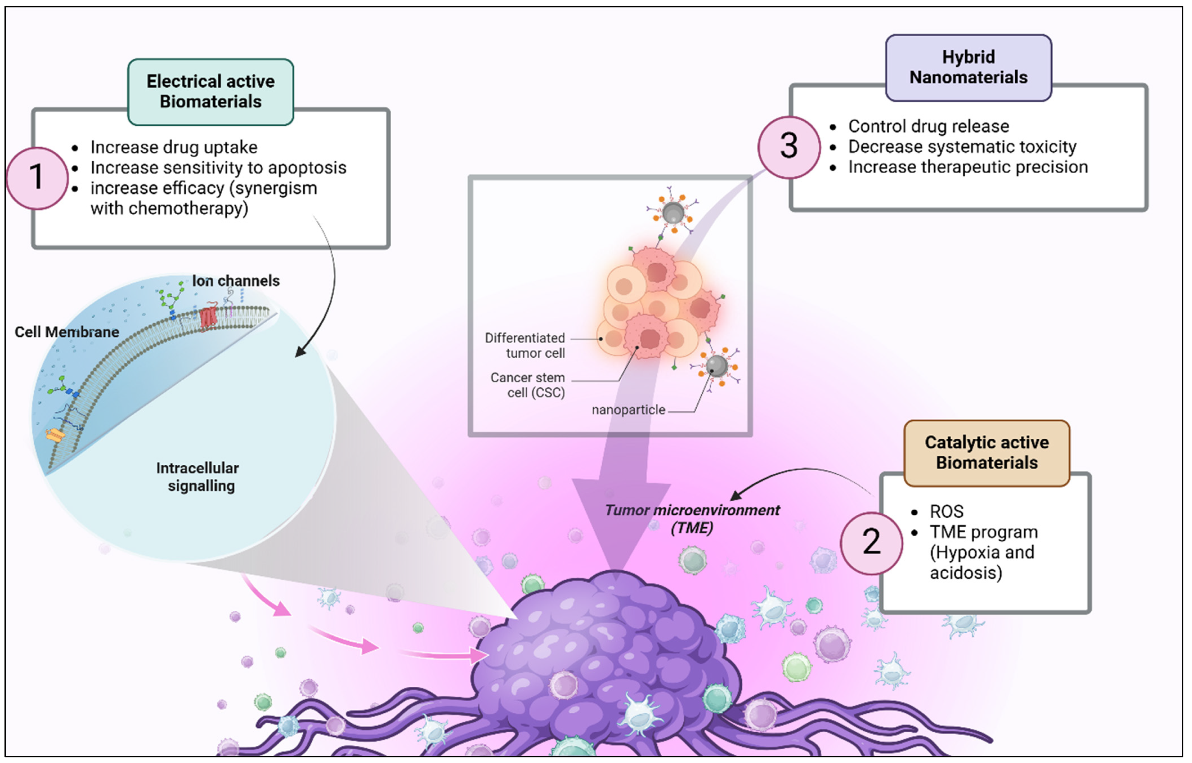 Biology 14 00497 g004