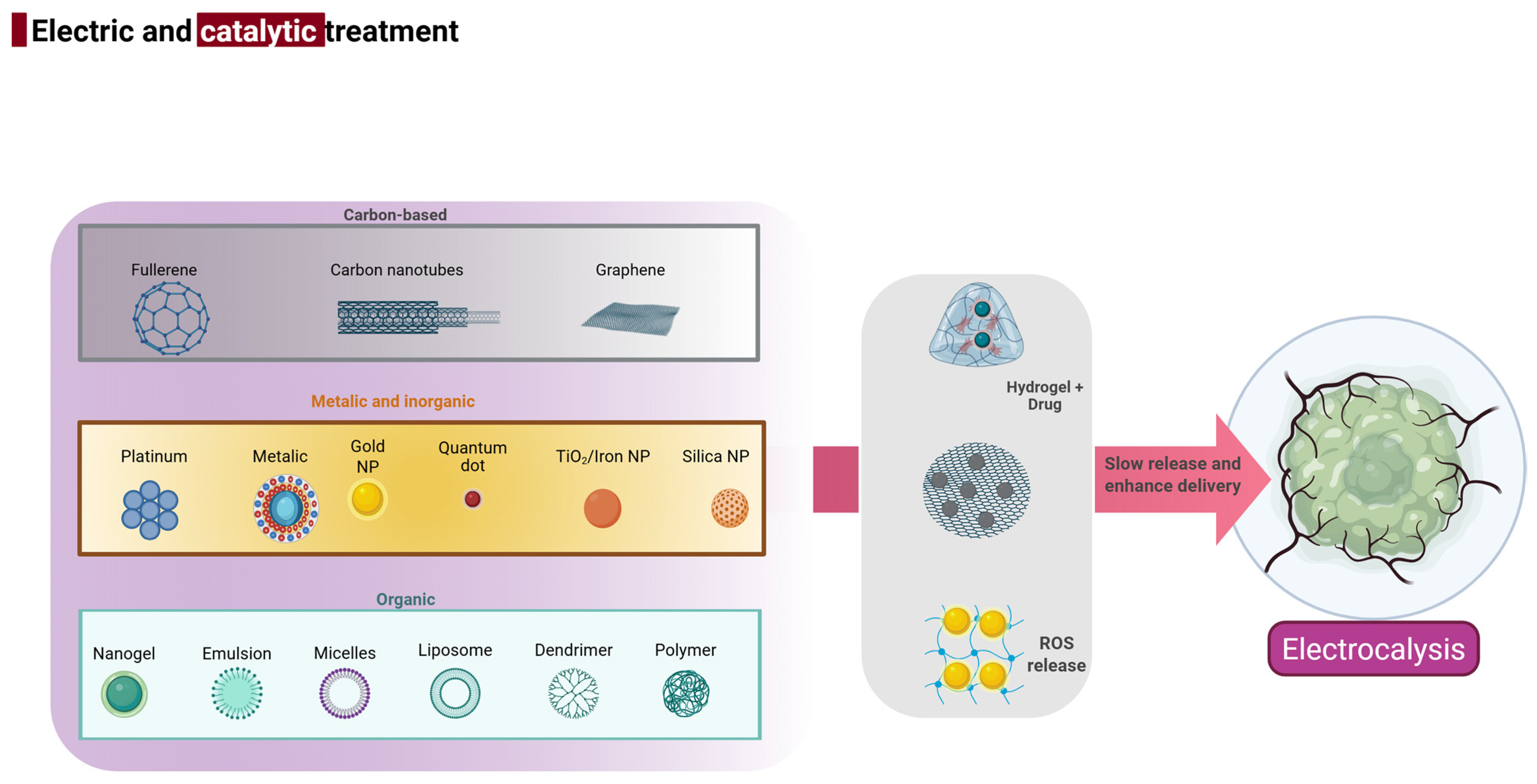 Biology 14 00497 g005