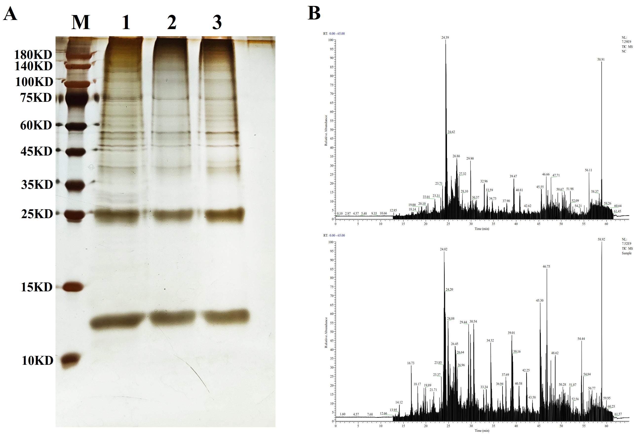 Biology 14 00498 g001