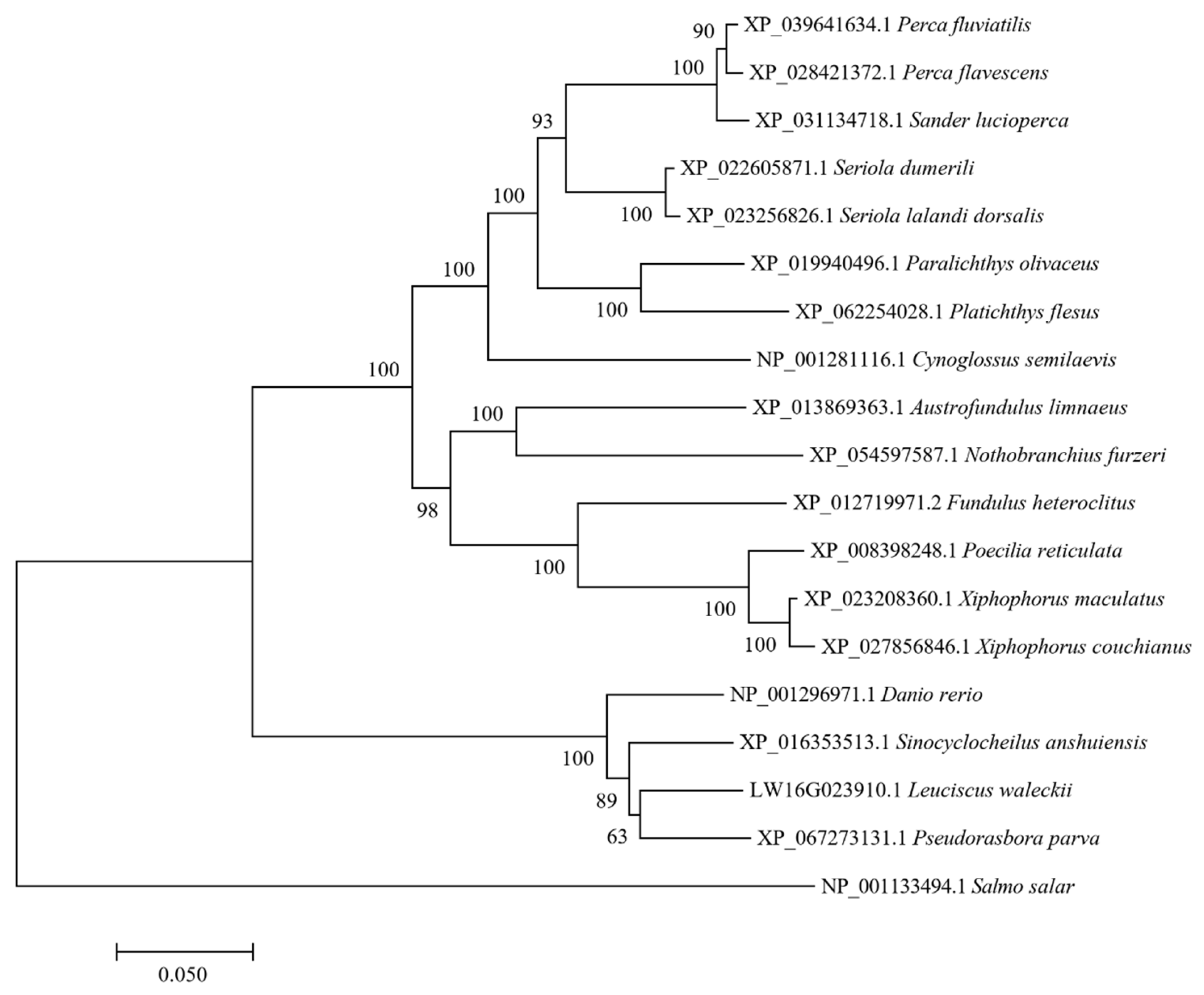 Biology 14 00498 g003