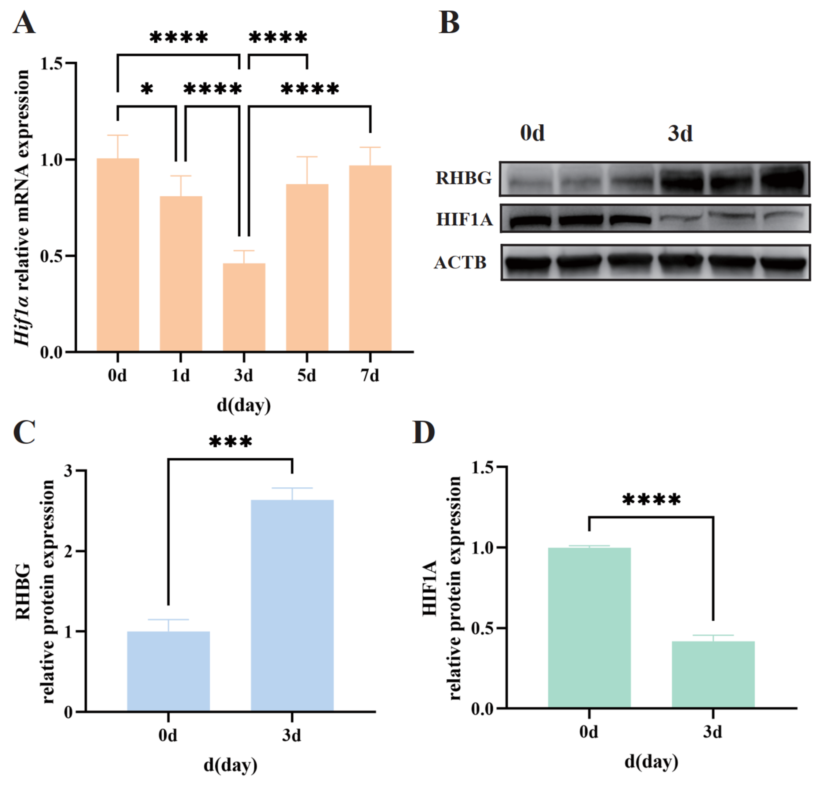 Biology 14 00498 g004