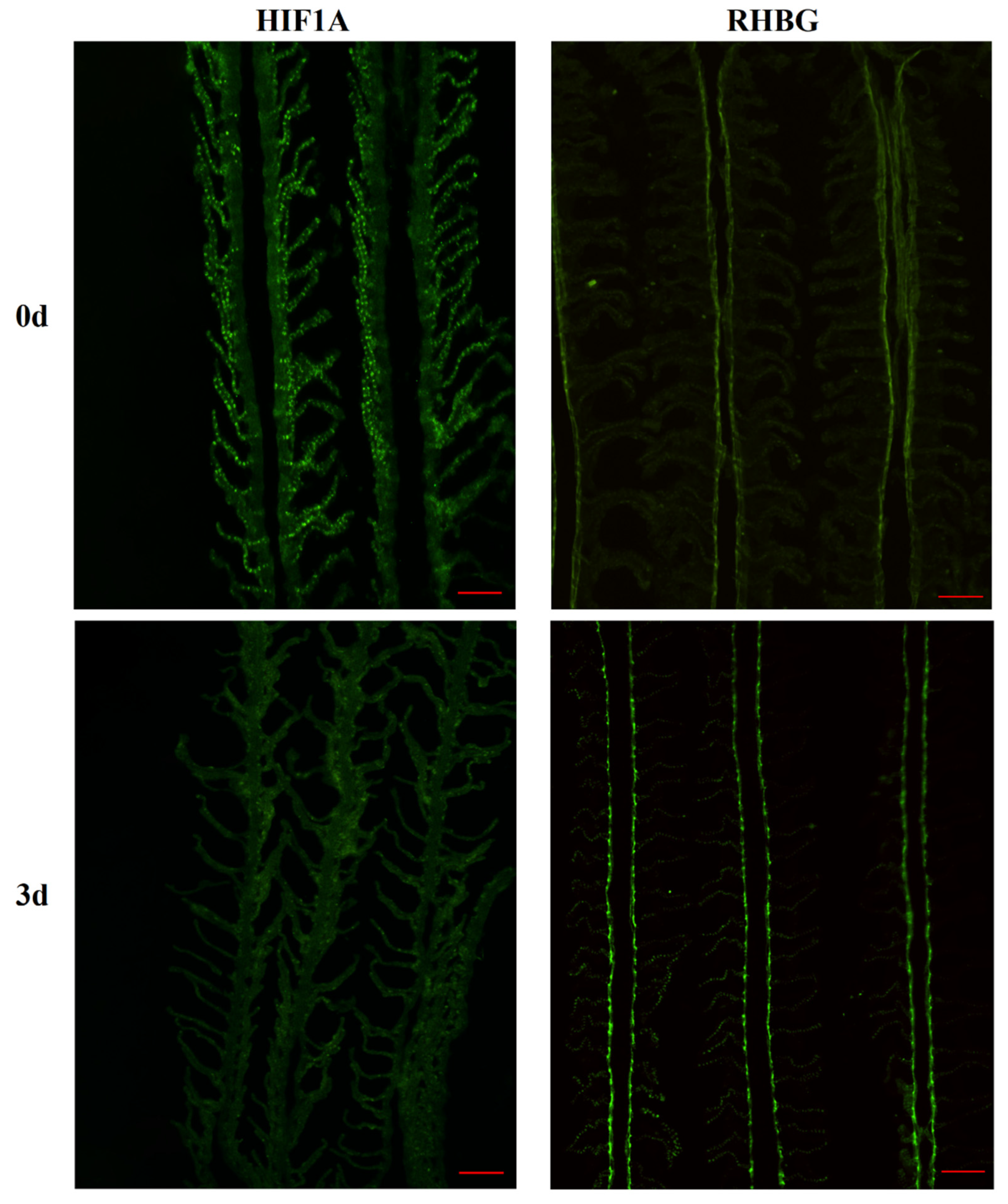 Biology 14 00498 g005