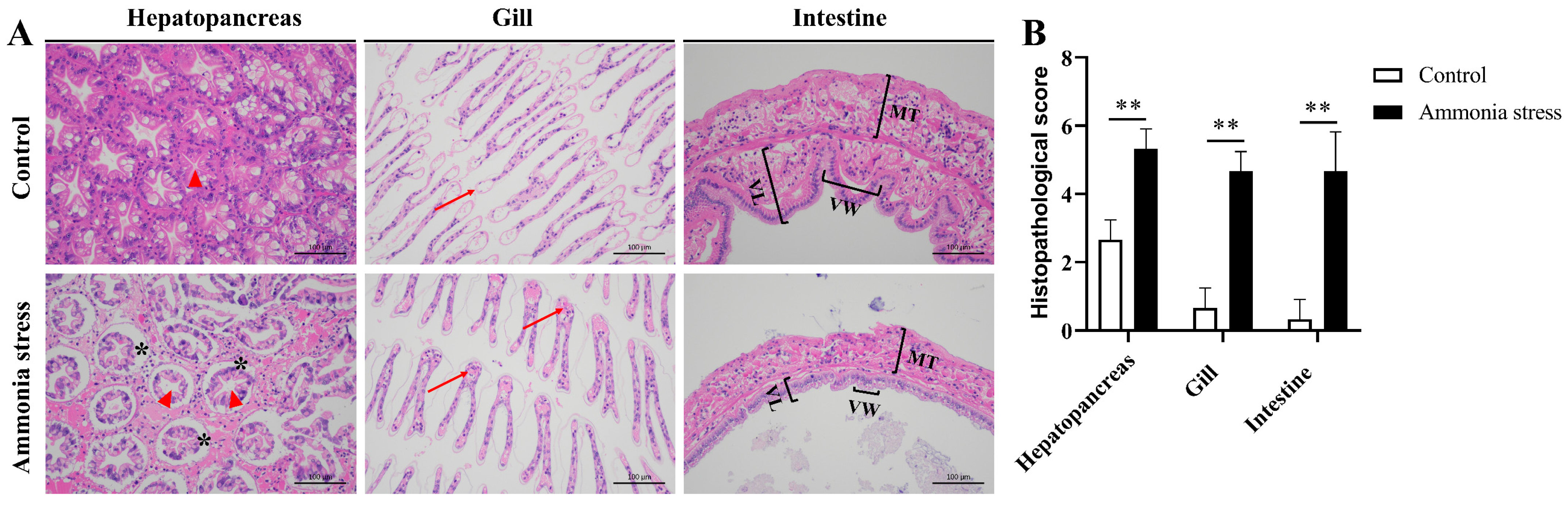 Biology 14 00501 g001