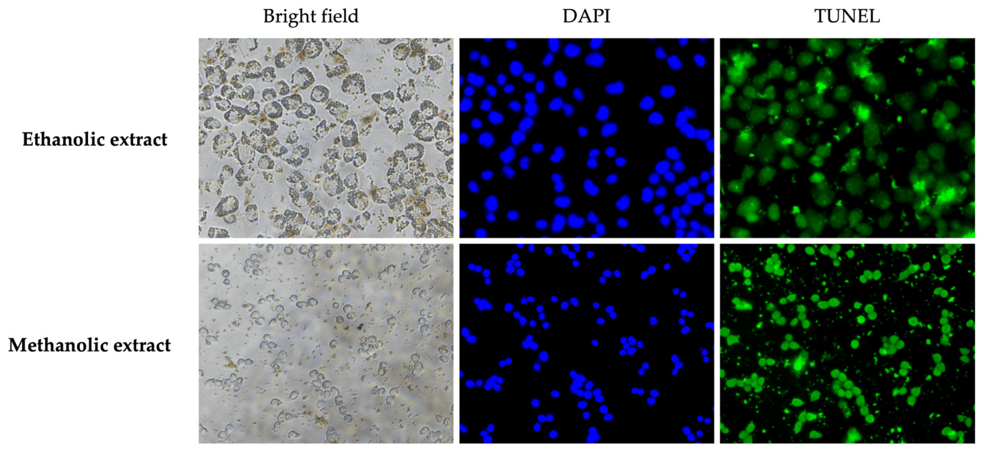 Biology 14 00502 g005