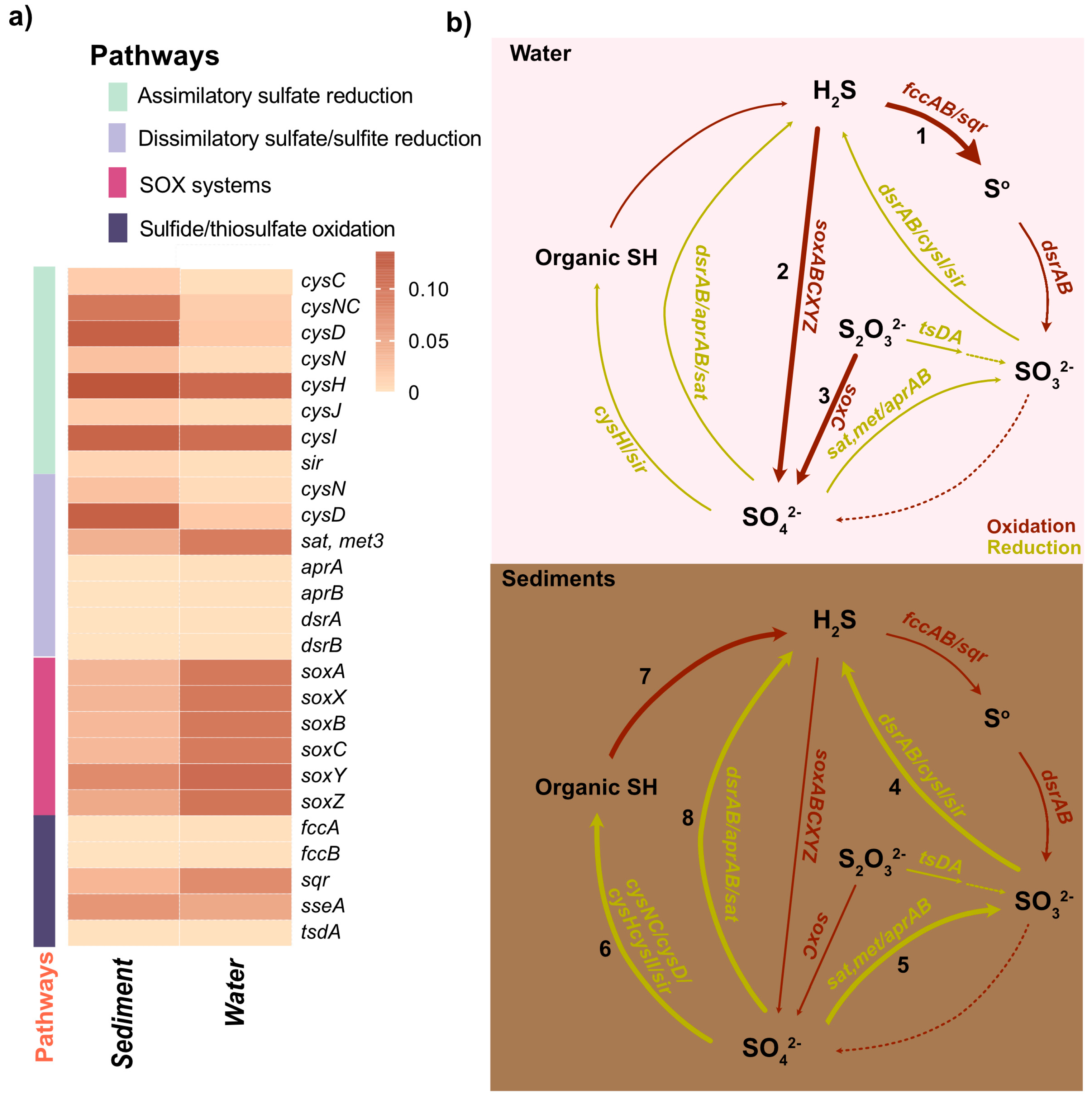 Biology 14 00503 g006 Biology 14 00503 g006