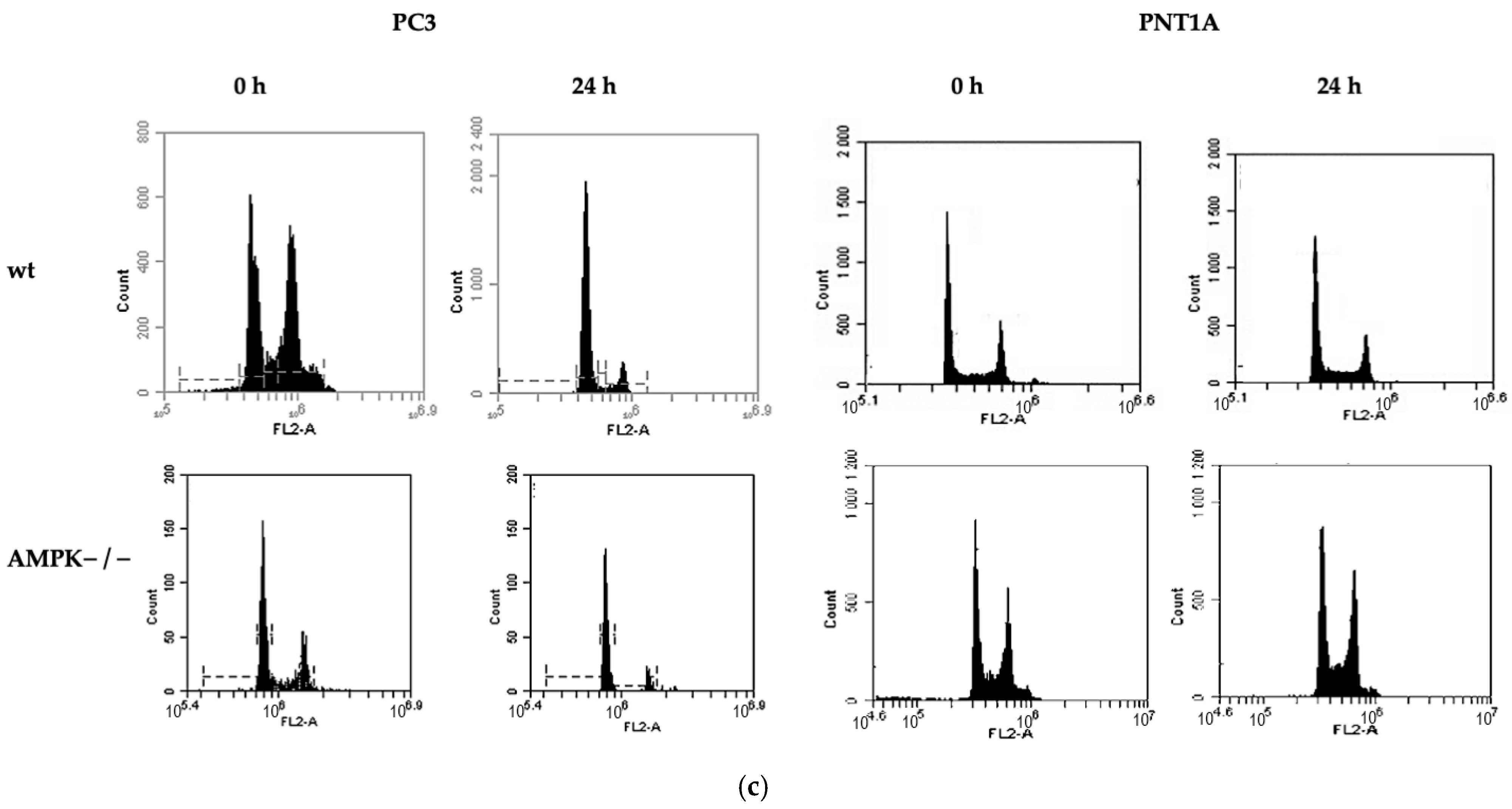 Biology 14 00507 g005b