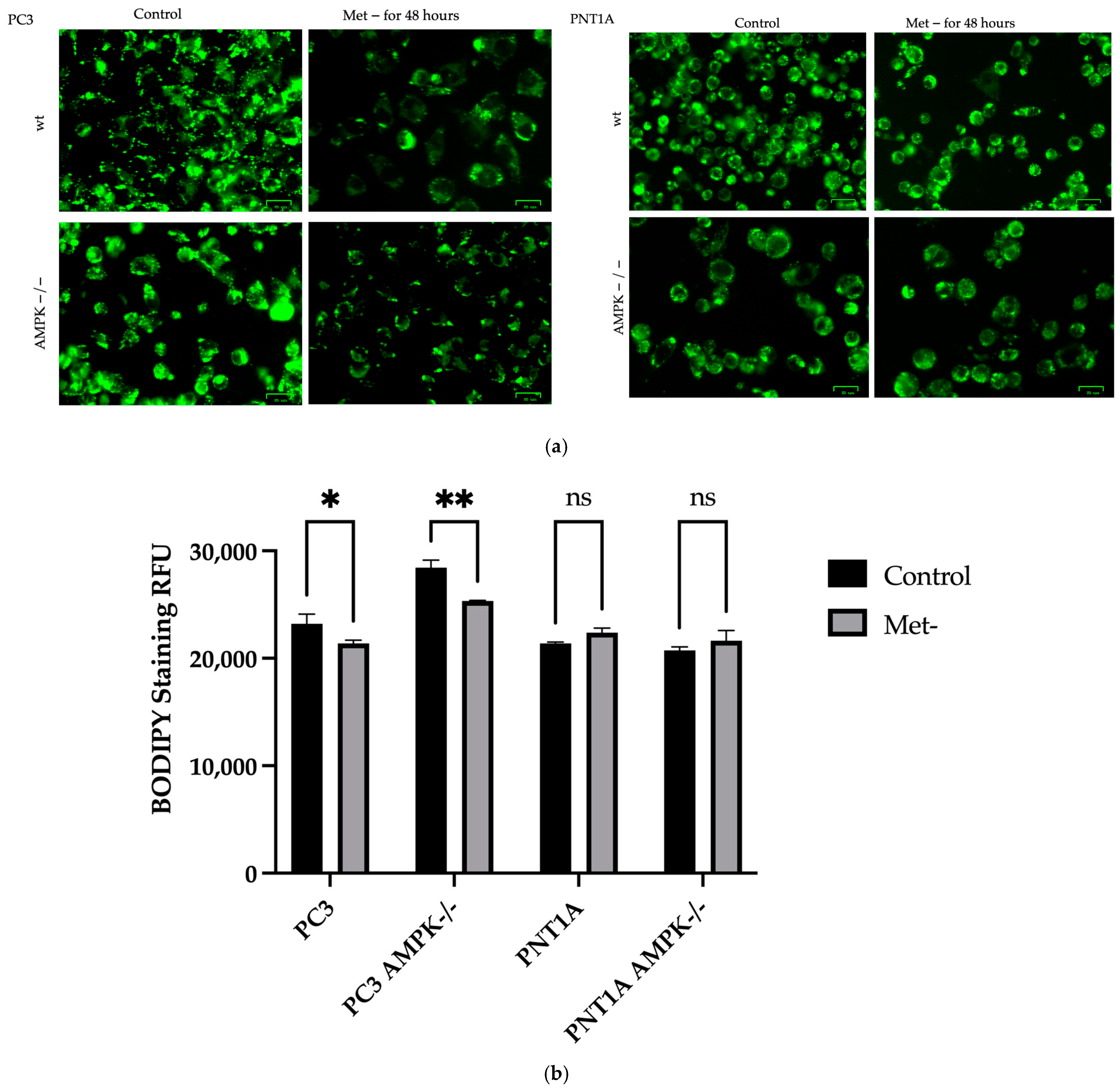 Biology 14 00507 g007