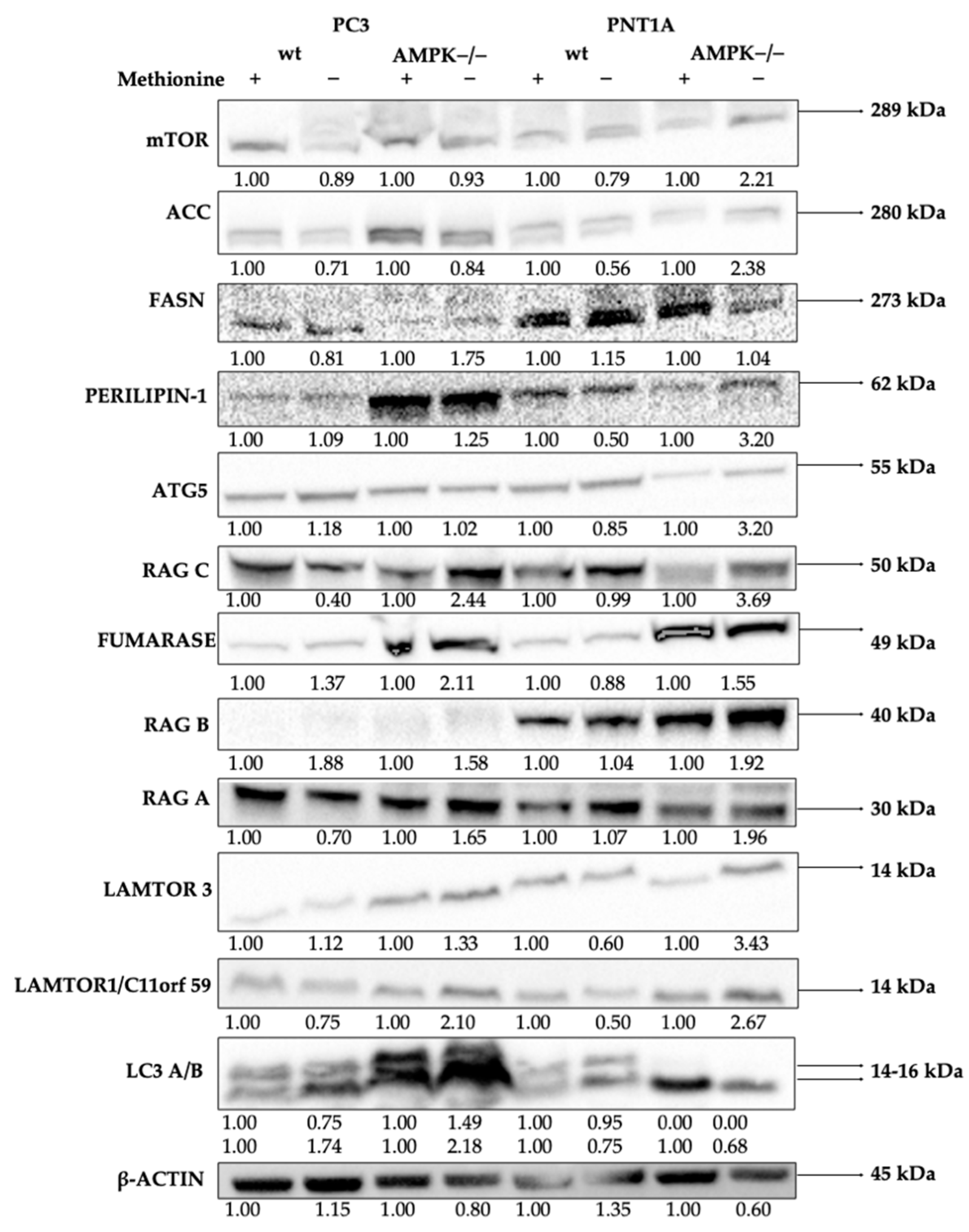 Biology 14 00507 g008