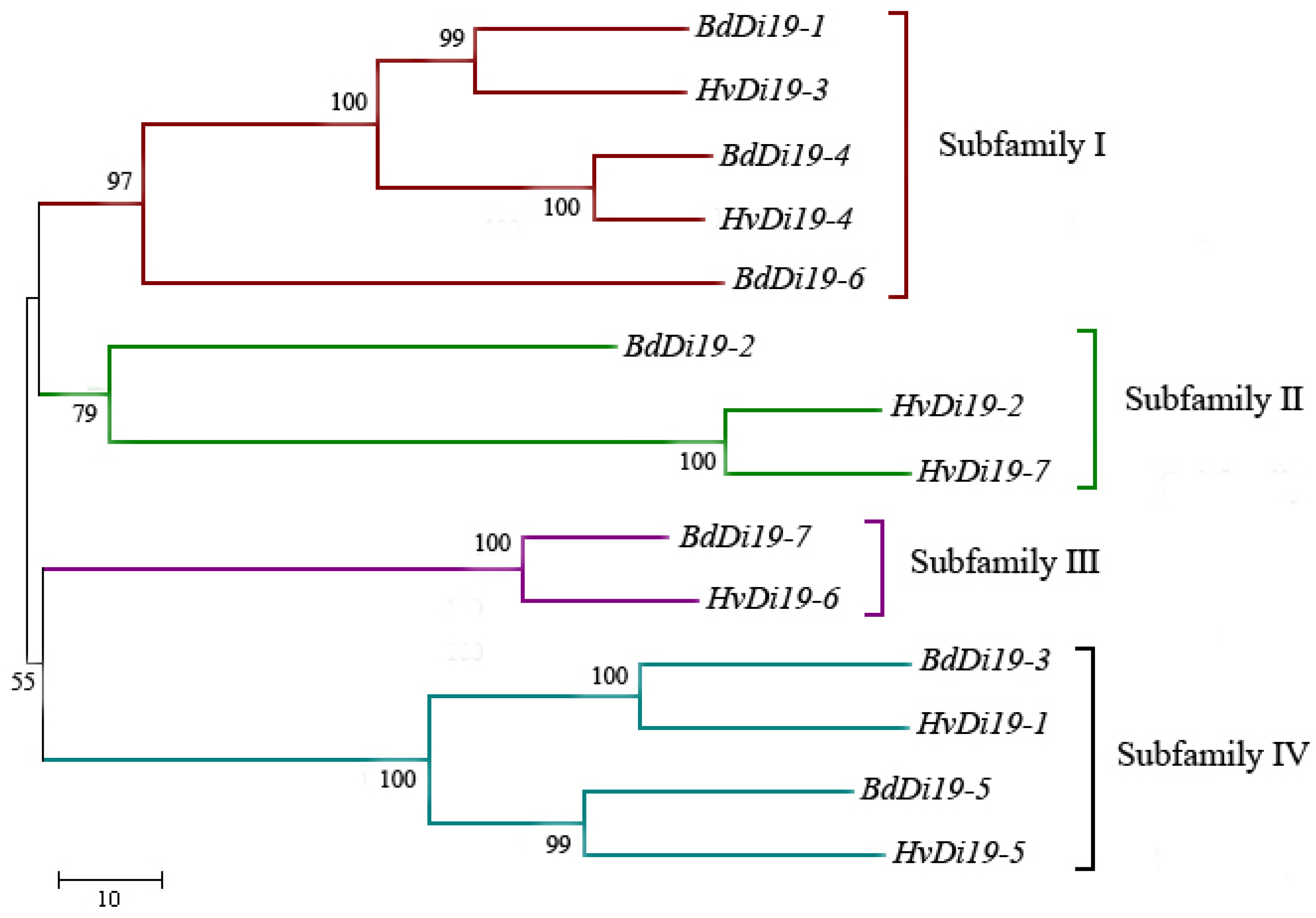 Biology 14 00508 g001