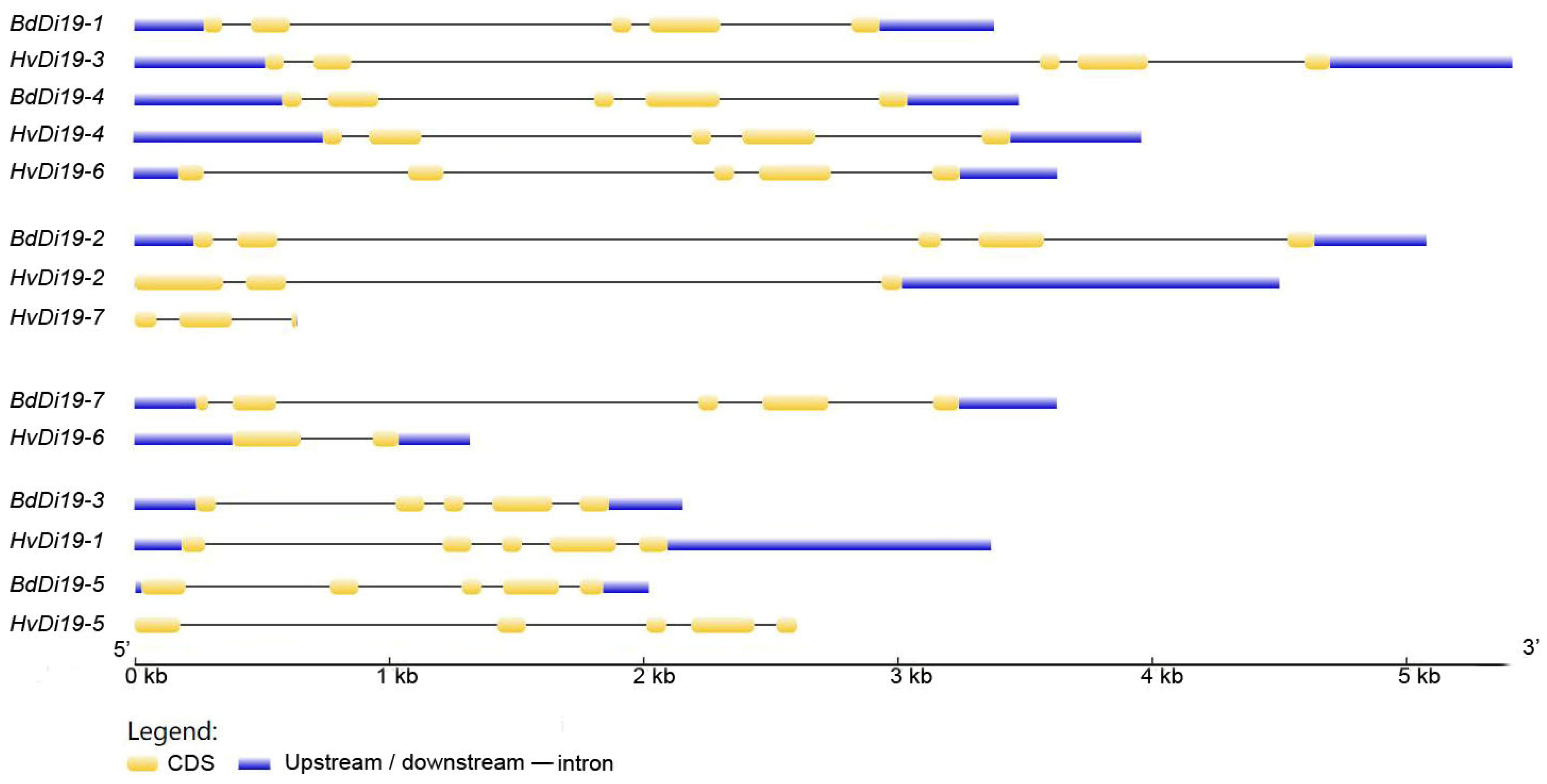 Biology 14 00508 g002