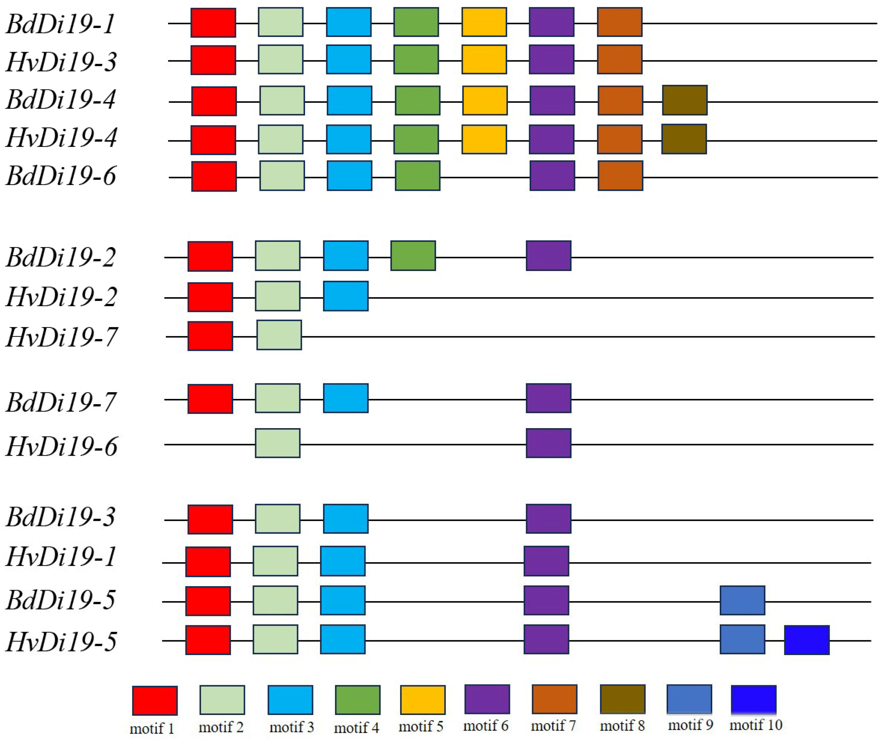 Biology 14 00508 g003