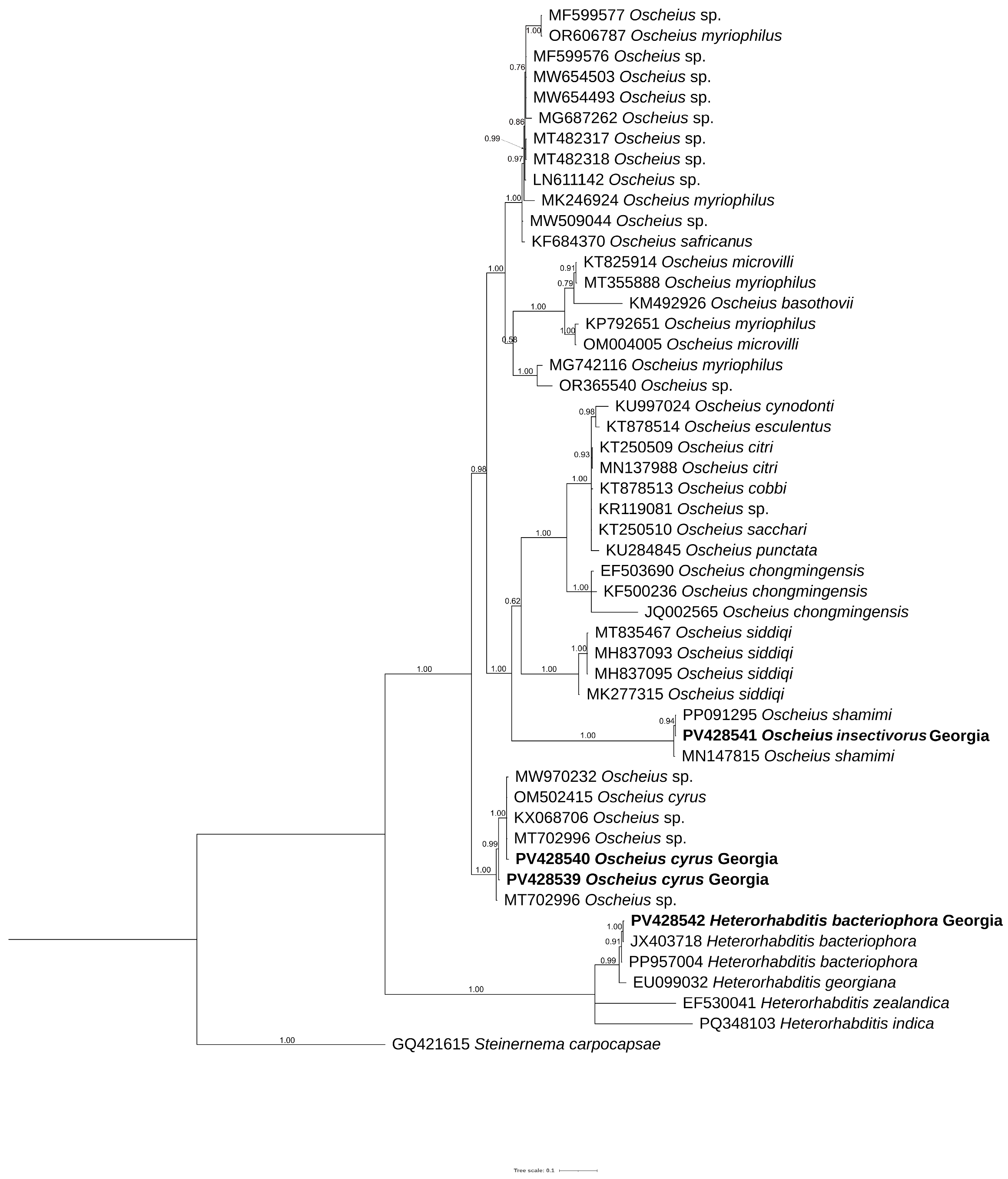 Biology 14 00512 g004