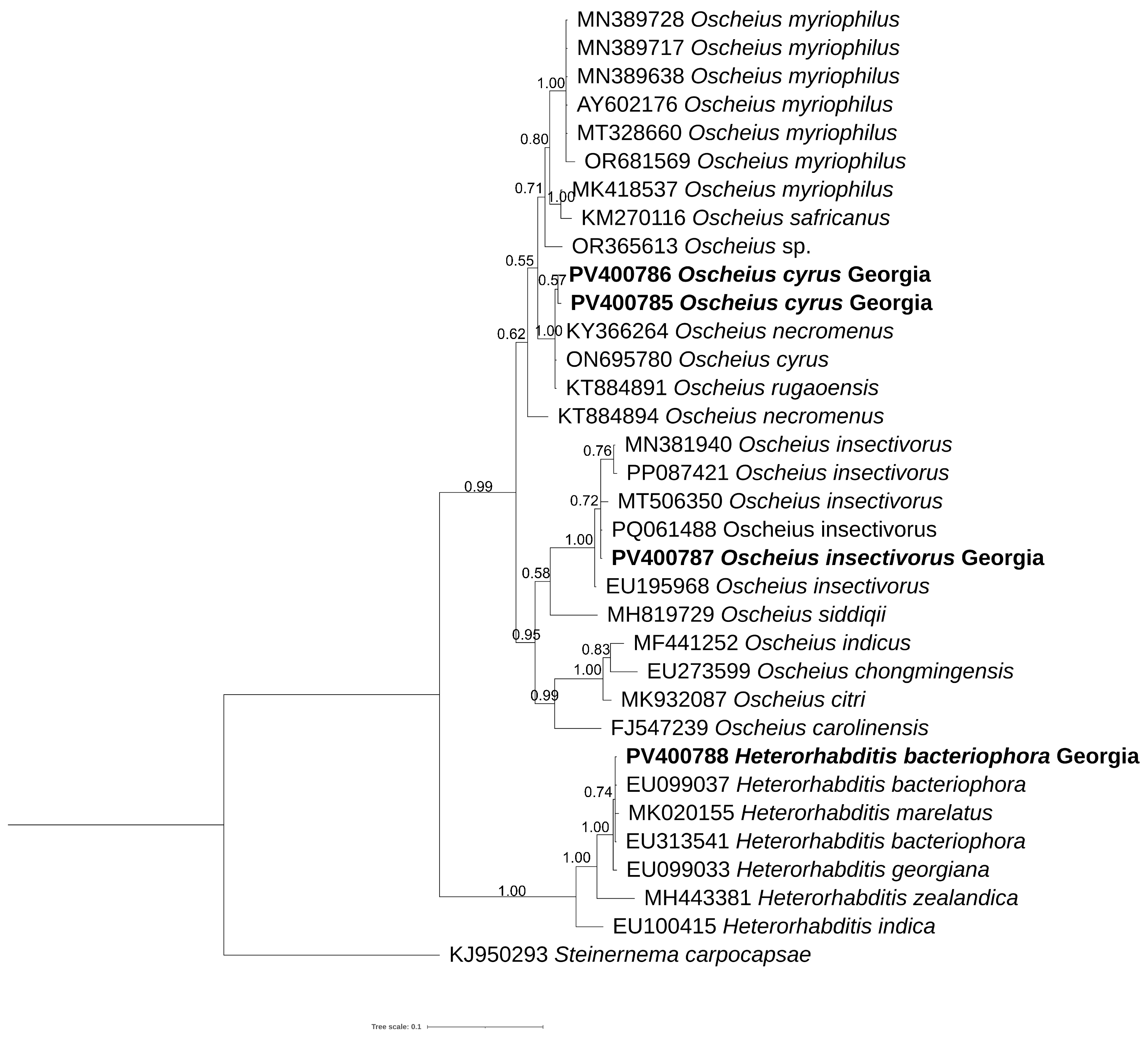 Biology 14 00512 g005
