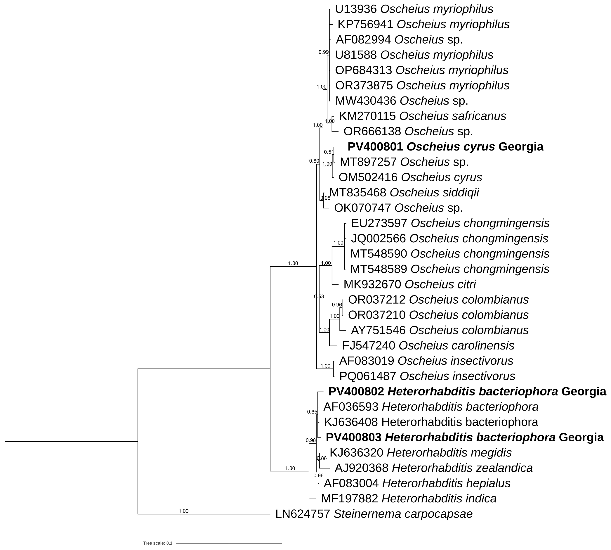 Biology 14 00512 g006