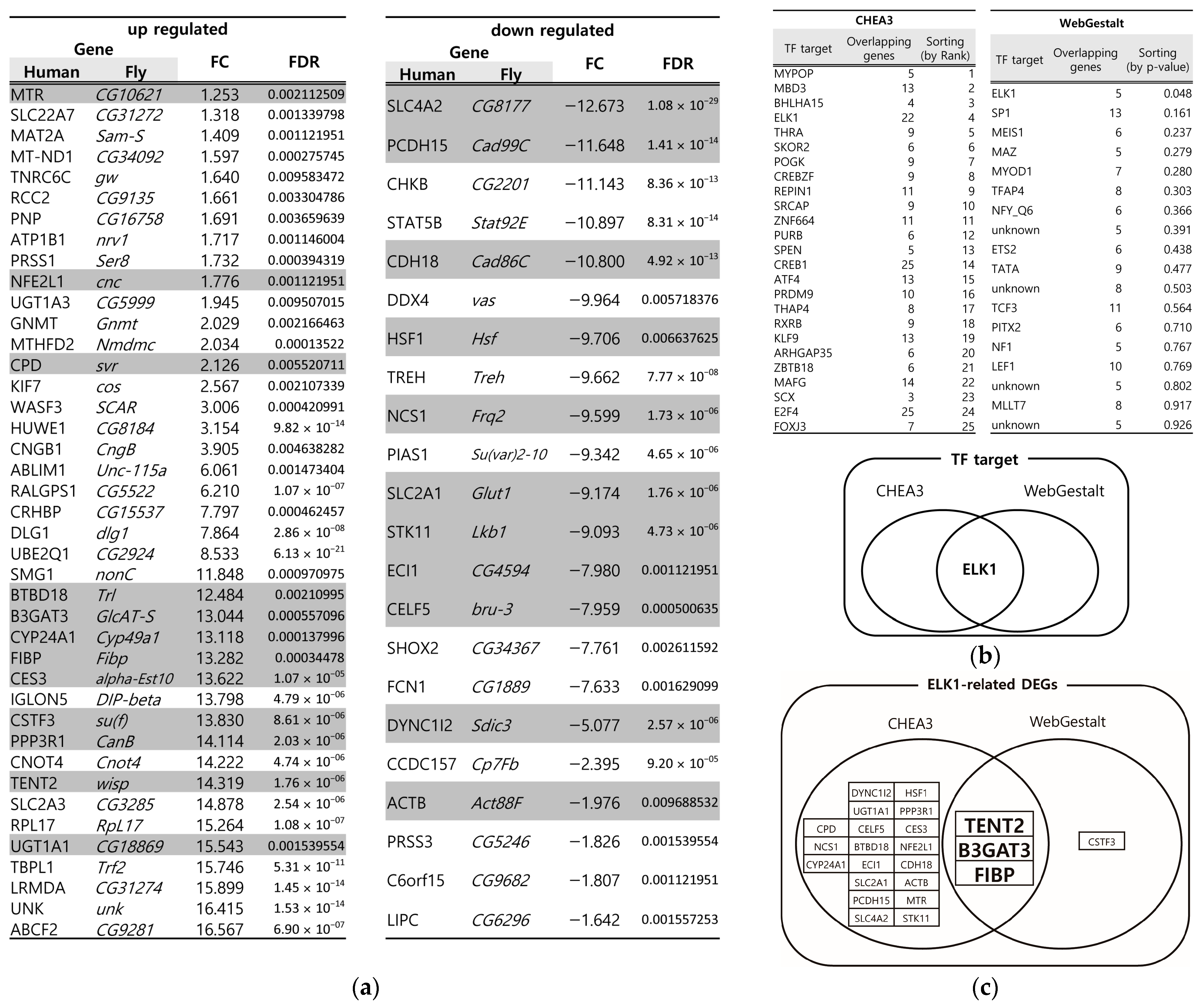Biology 14 00513 g001