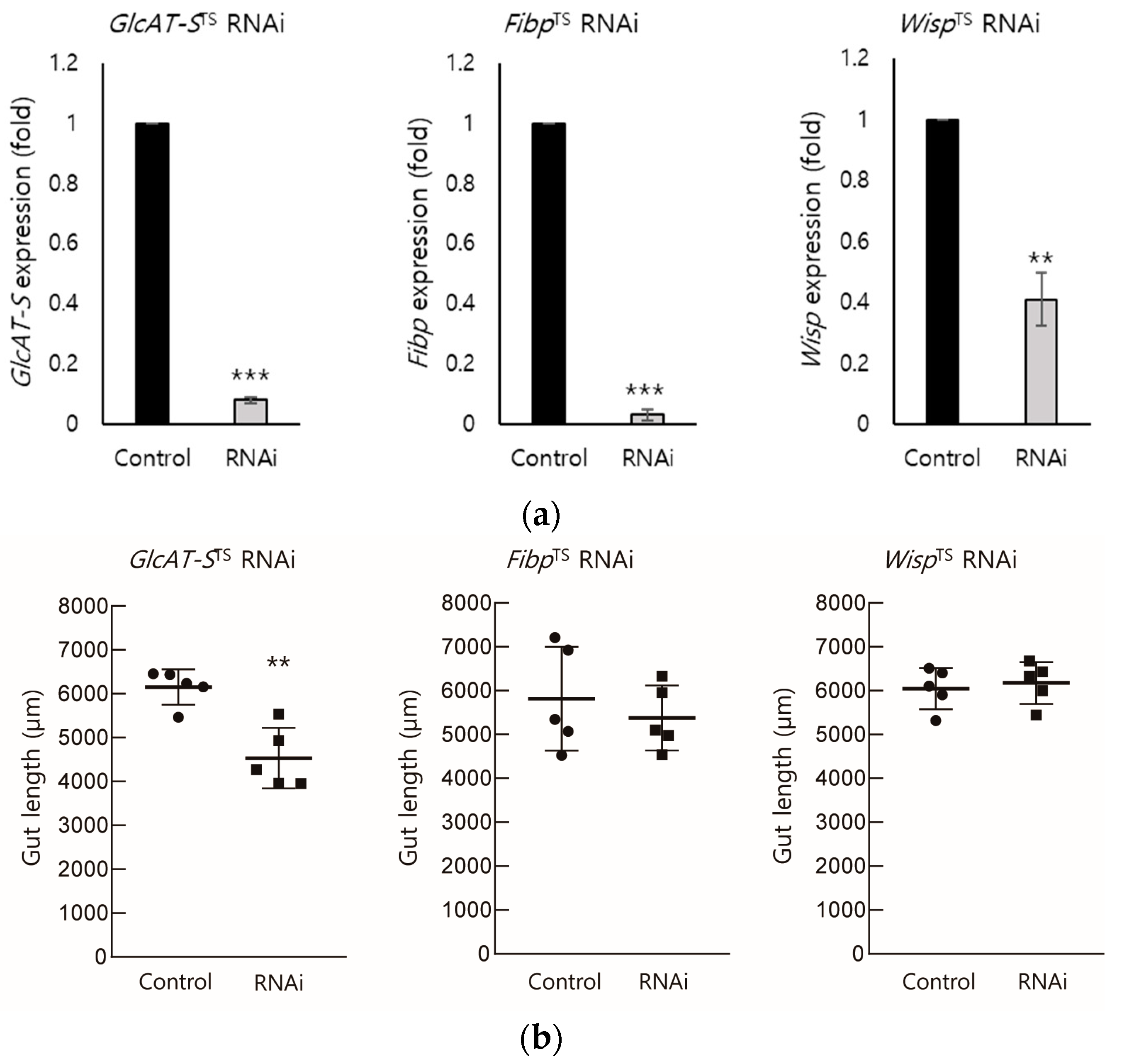 Biology 14 00513 g002